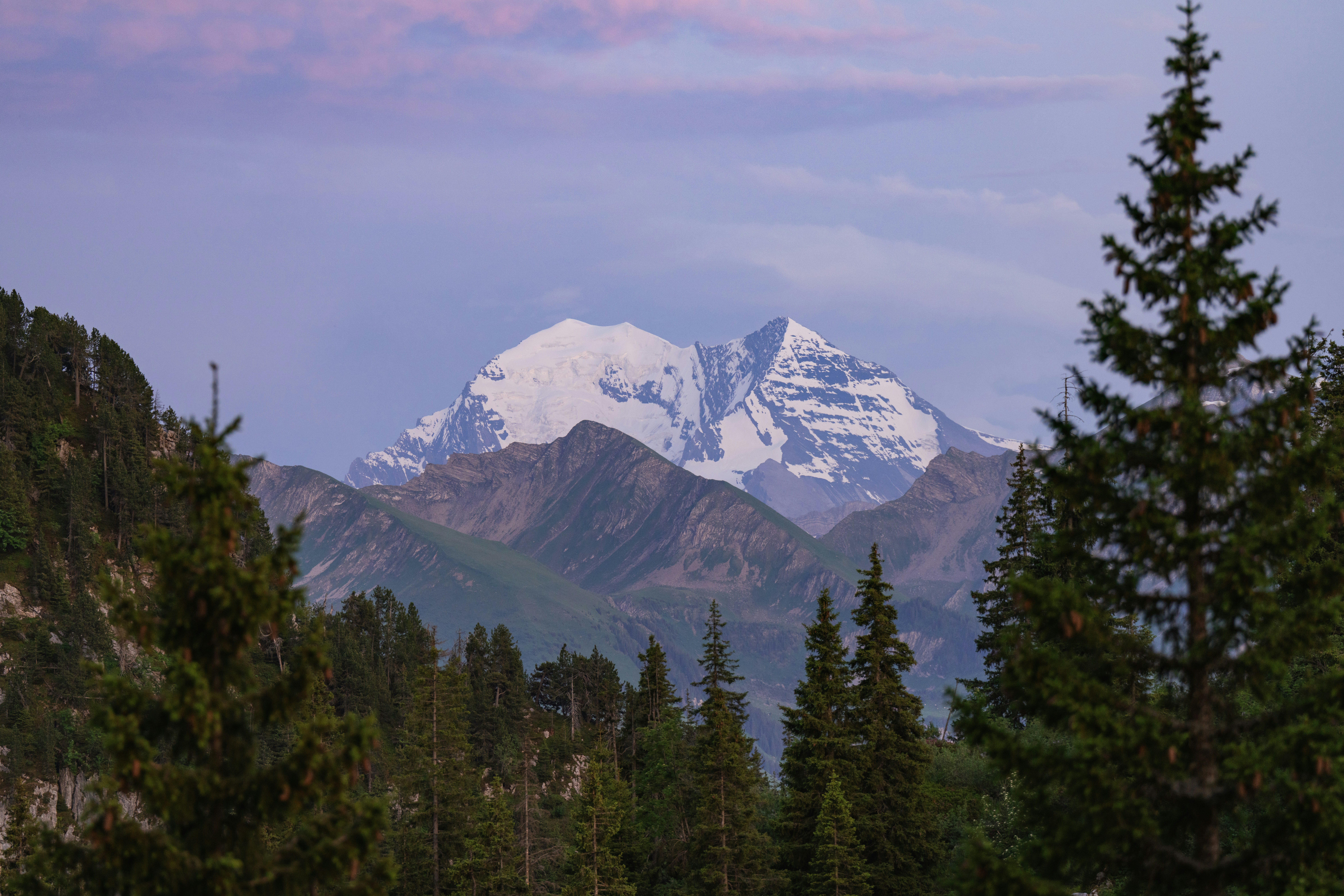 Photo by liviaphotographs