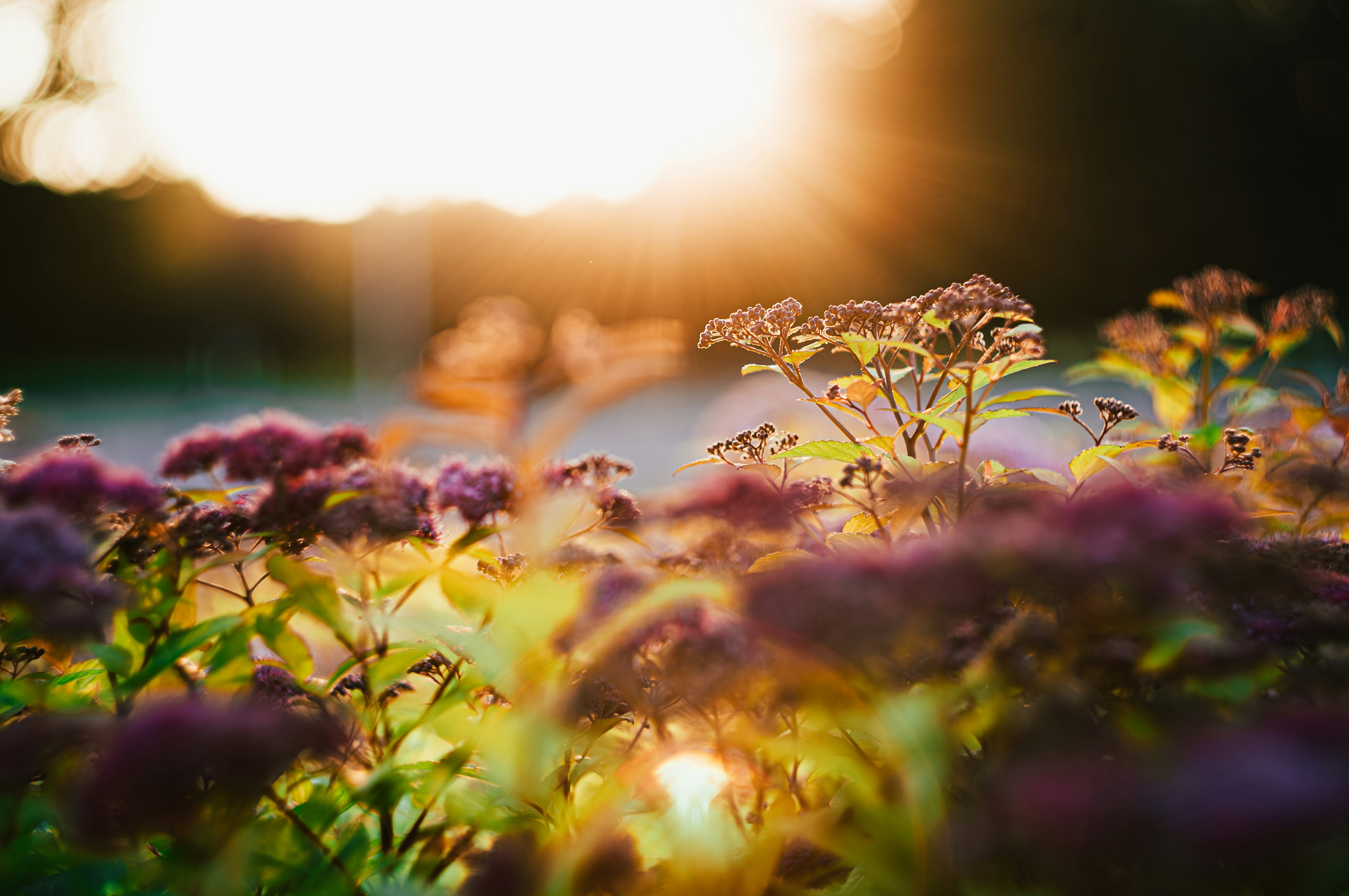 Photo by leksyandrow