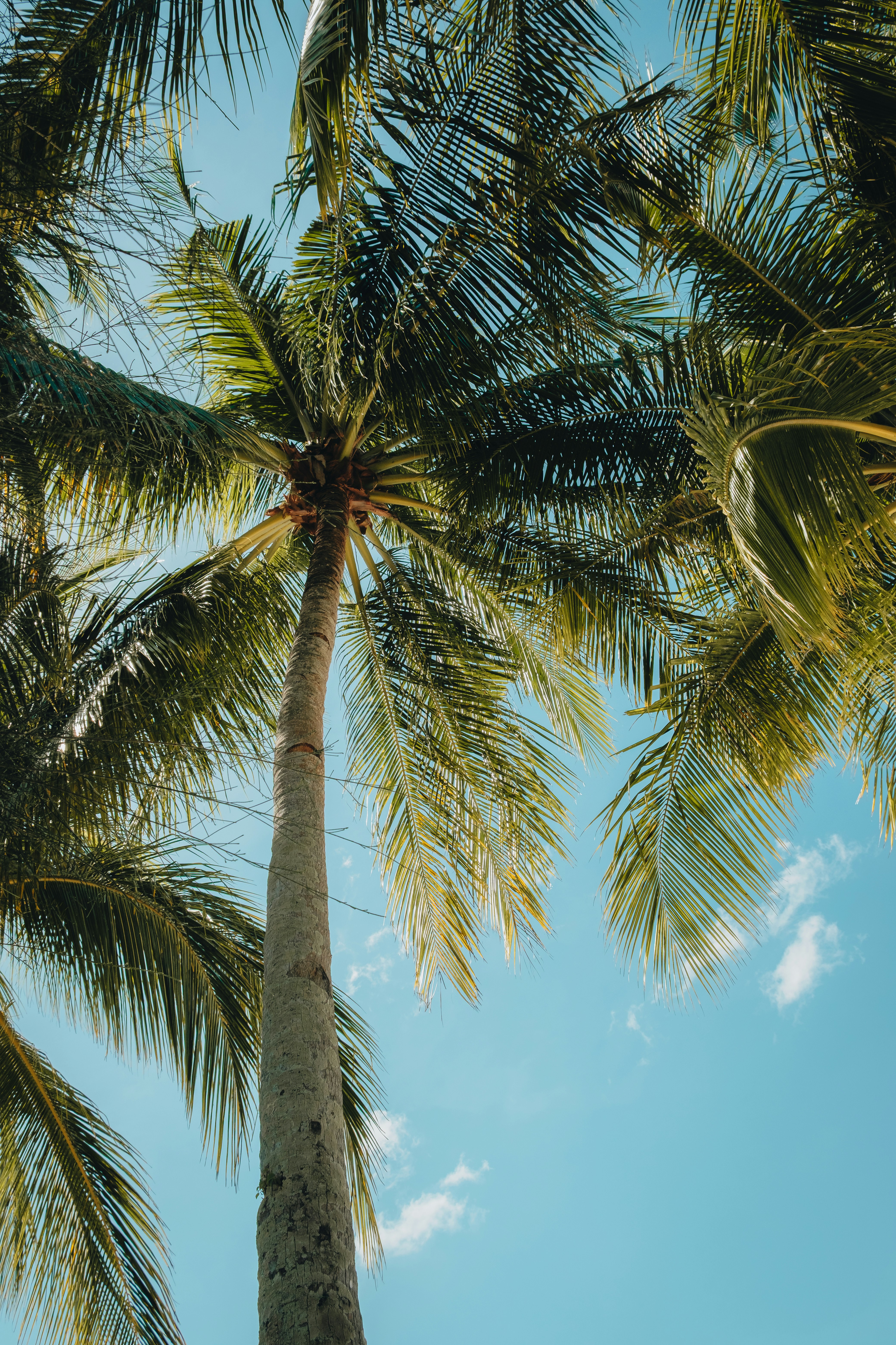 Photo by alishahlakhani