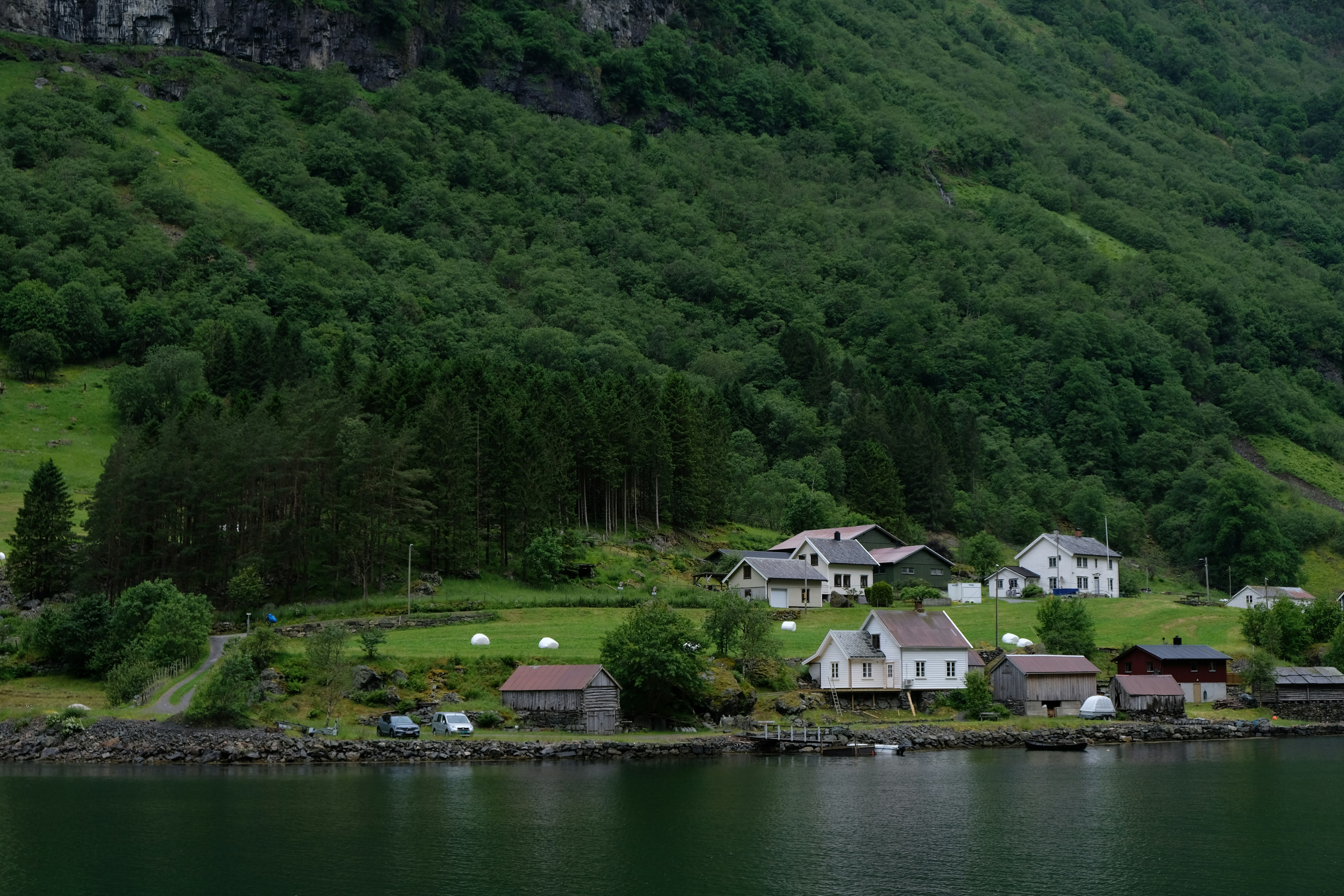 Photo by laurauraura