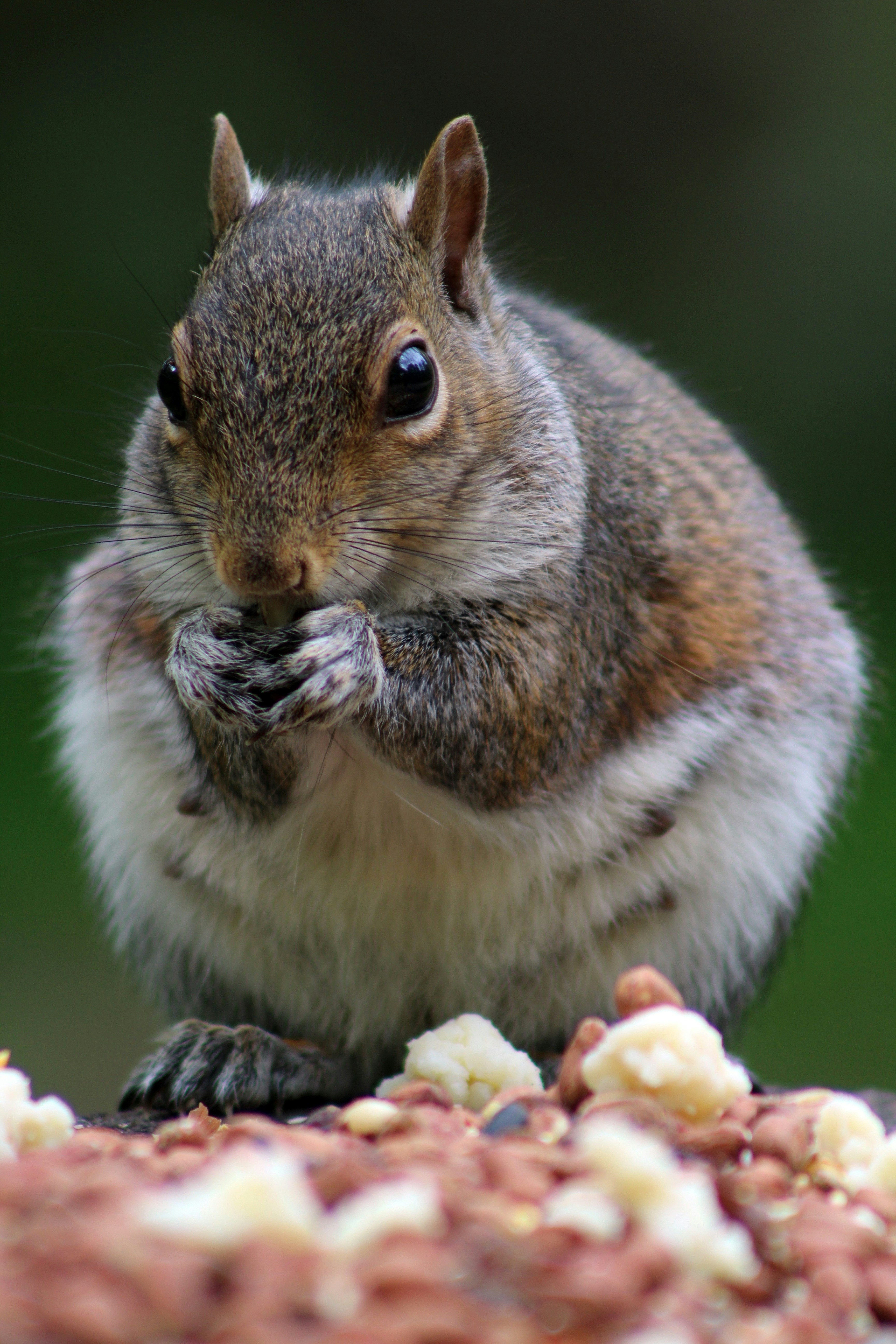 Photo by kollartphotography