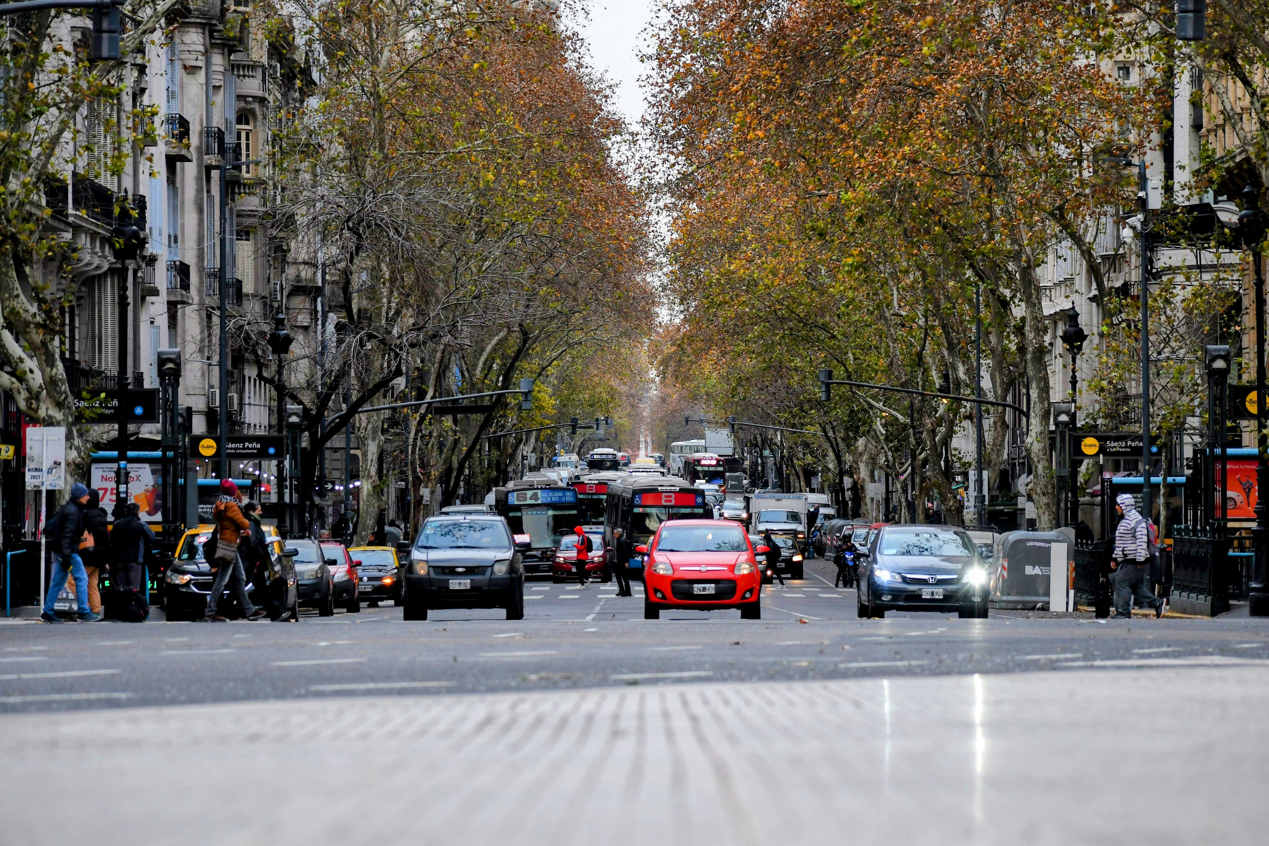 Cars travel down a city street lined with trees.