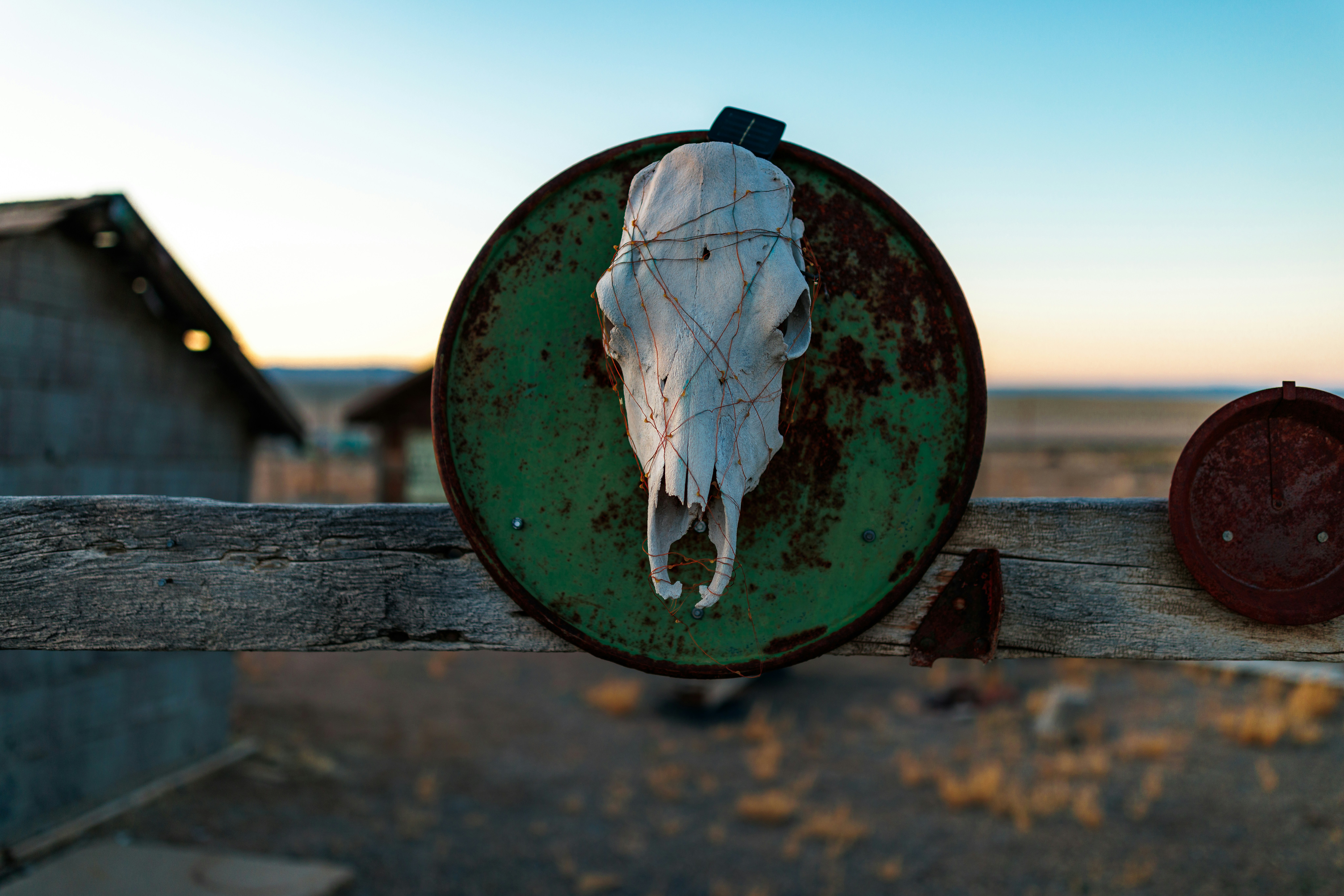 A skull is mounted on a rusty, green disc.