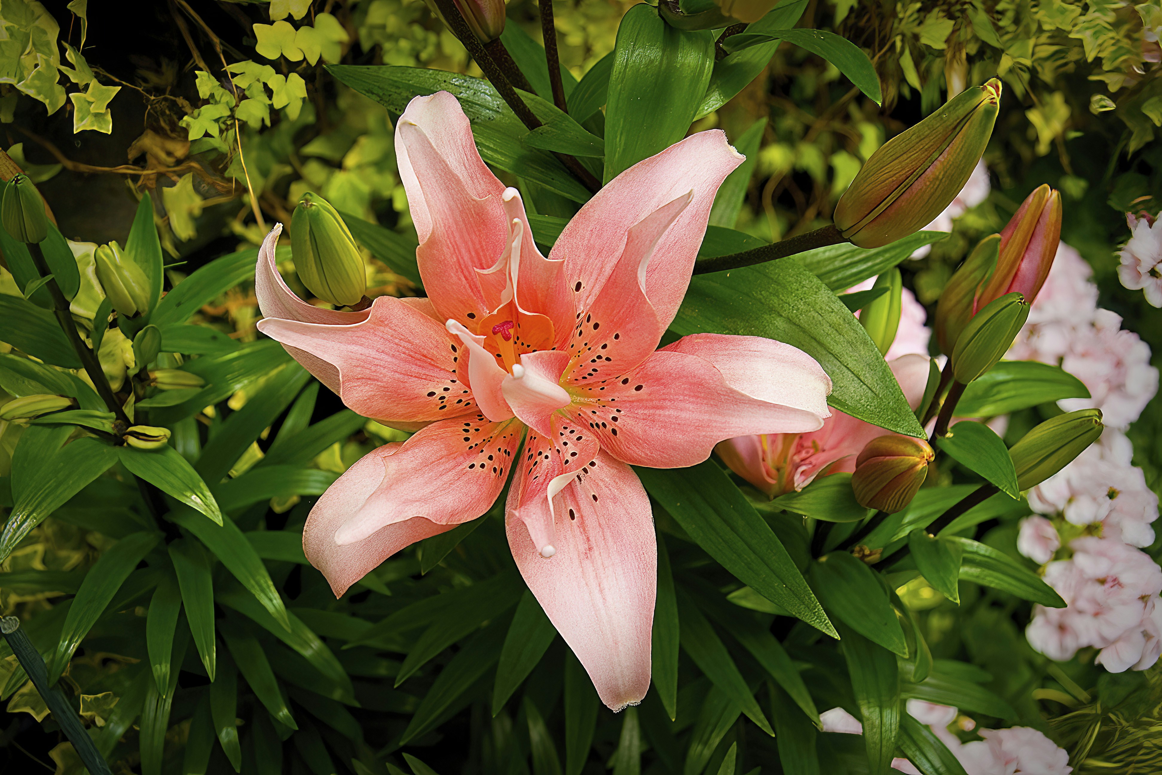 Photo by photogeorge