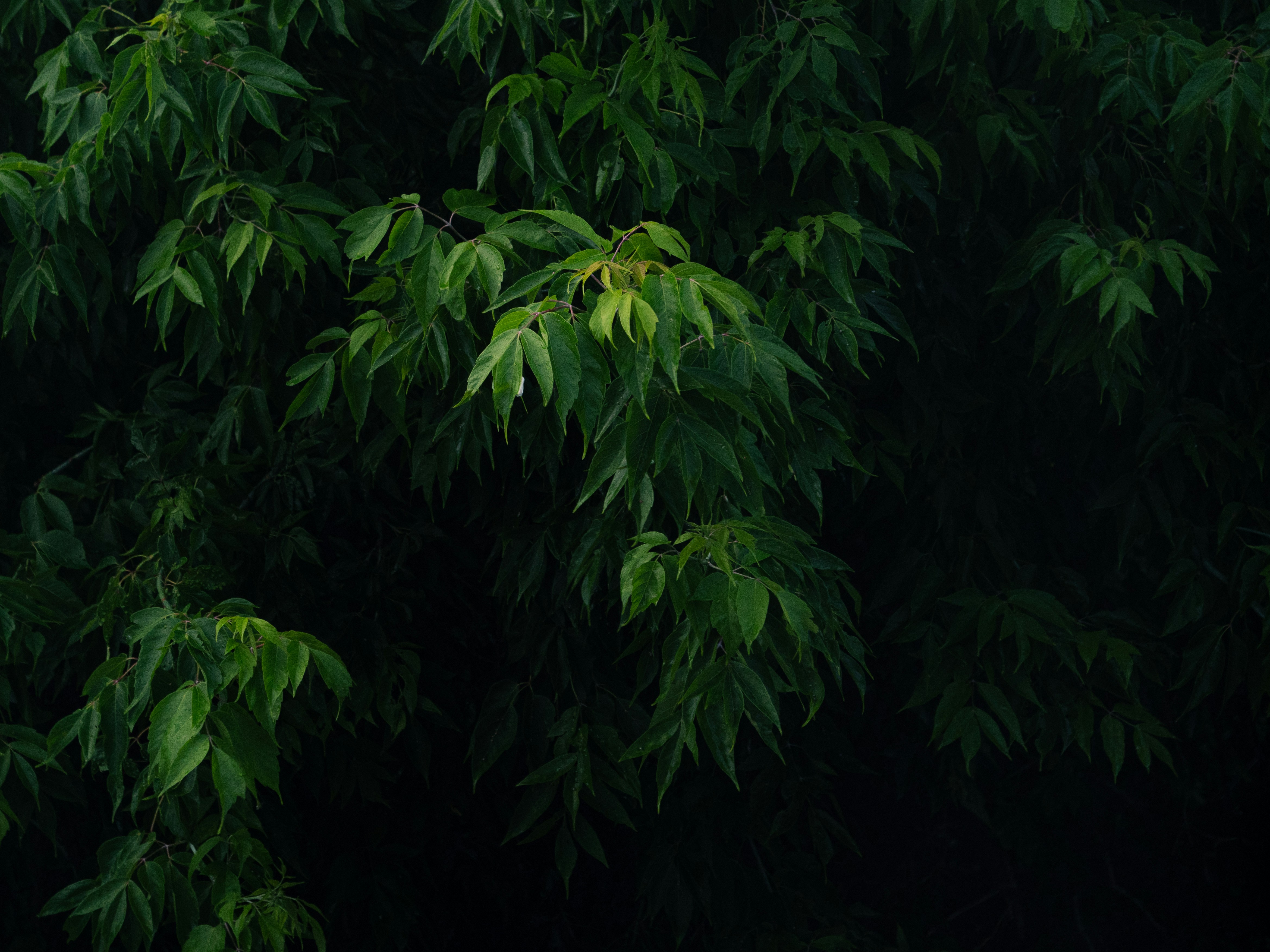 Photo by storybyphil