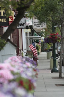 A charming downtown street with shops and flowers.
