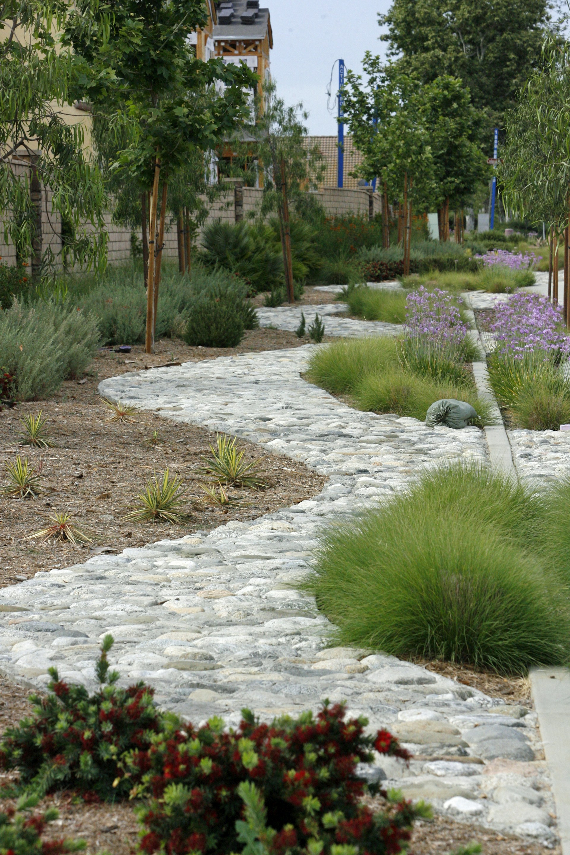 A stone pathway winds through a beautiful garden.