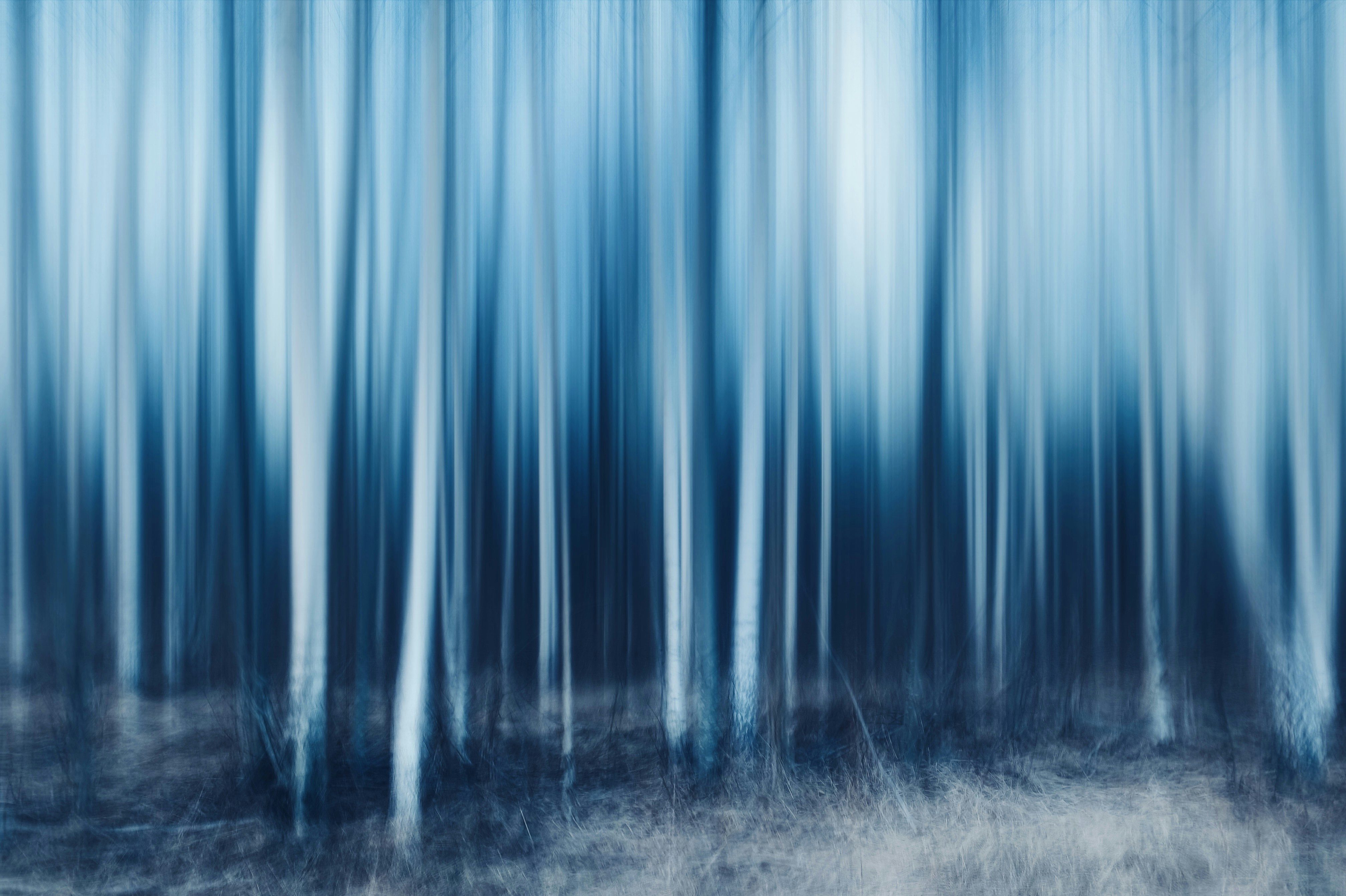 Photo by eugene_golovesov