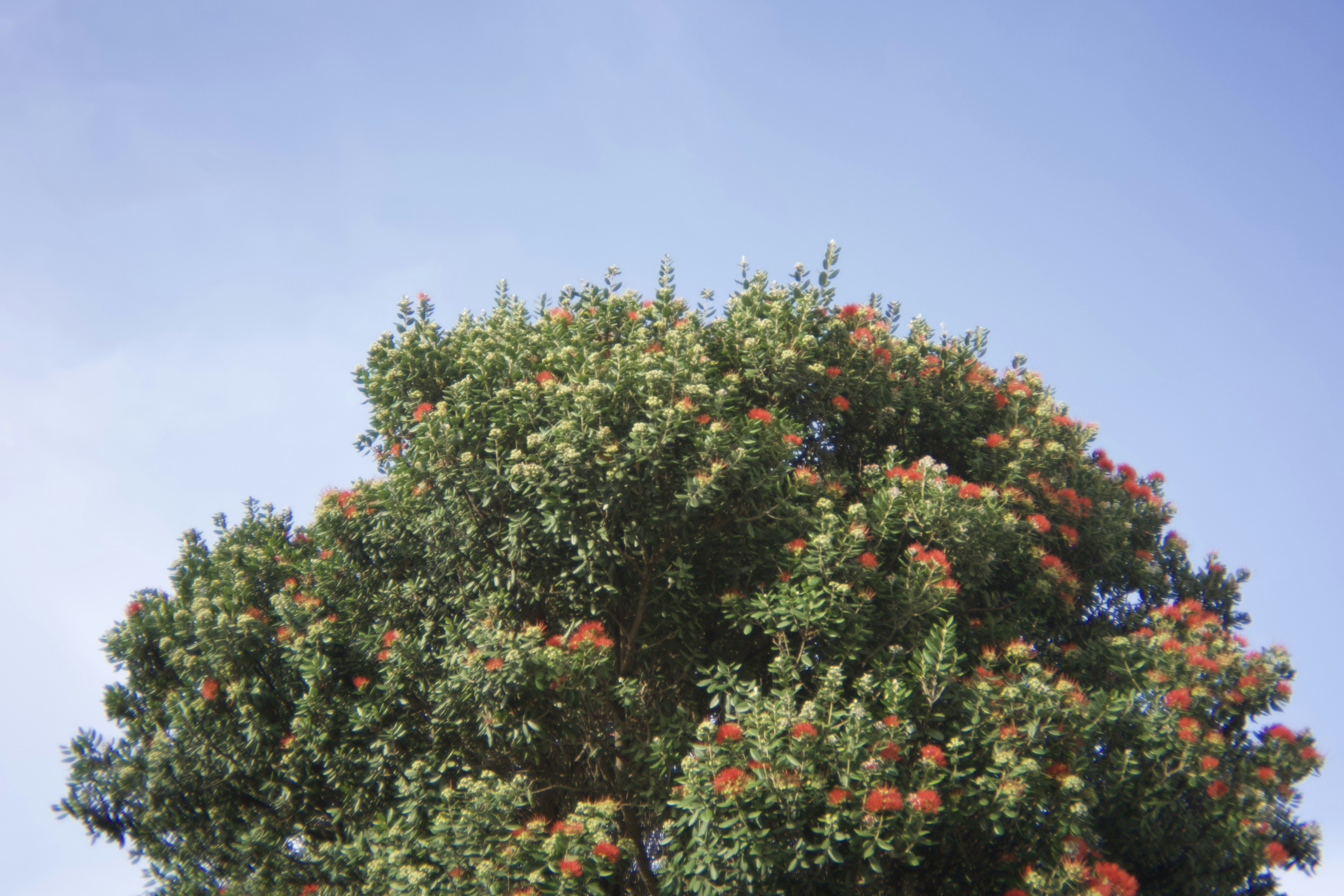 Photo by airguitarbandit