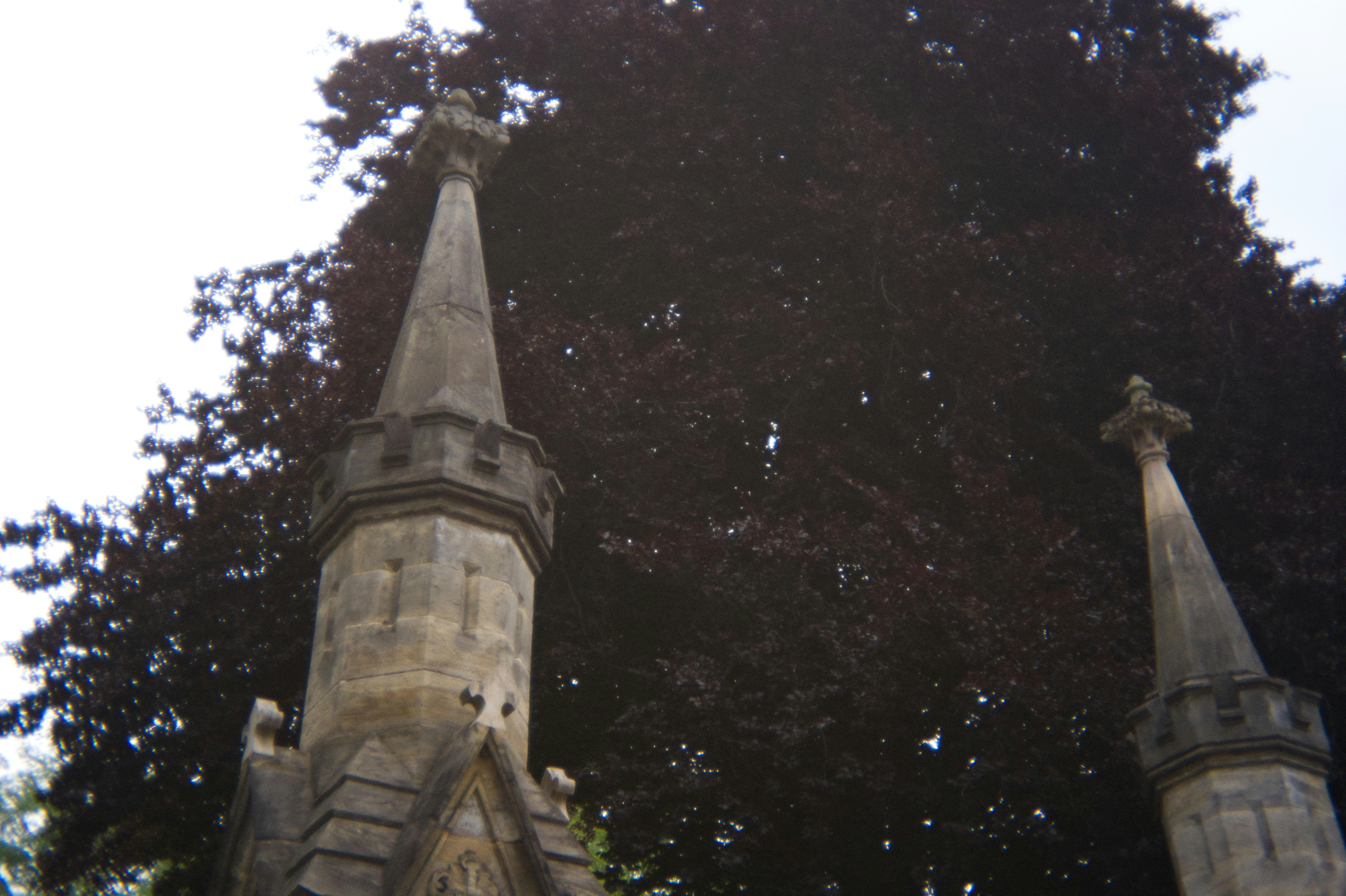Spire-like structures stand against a dark tree.