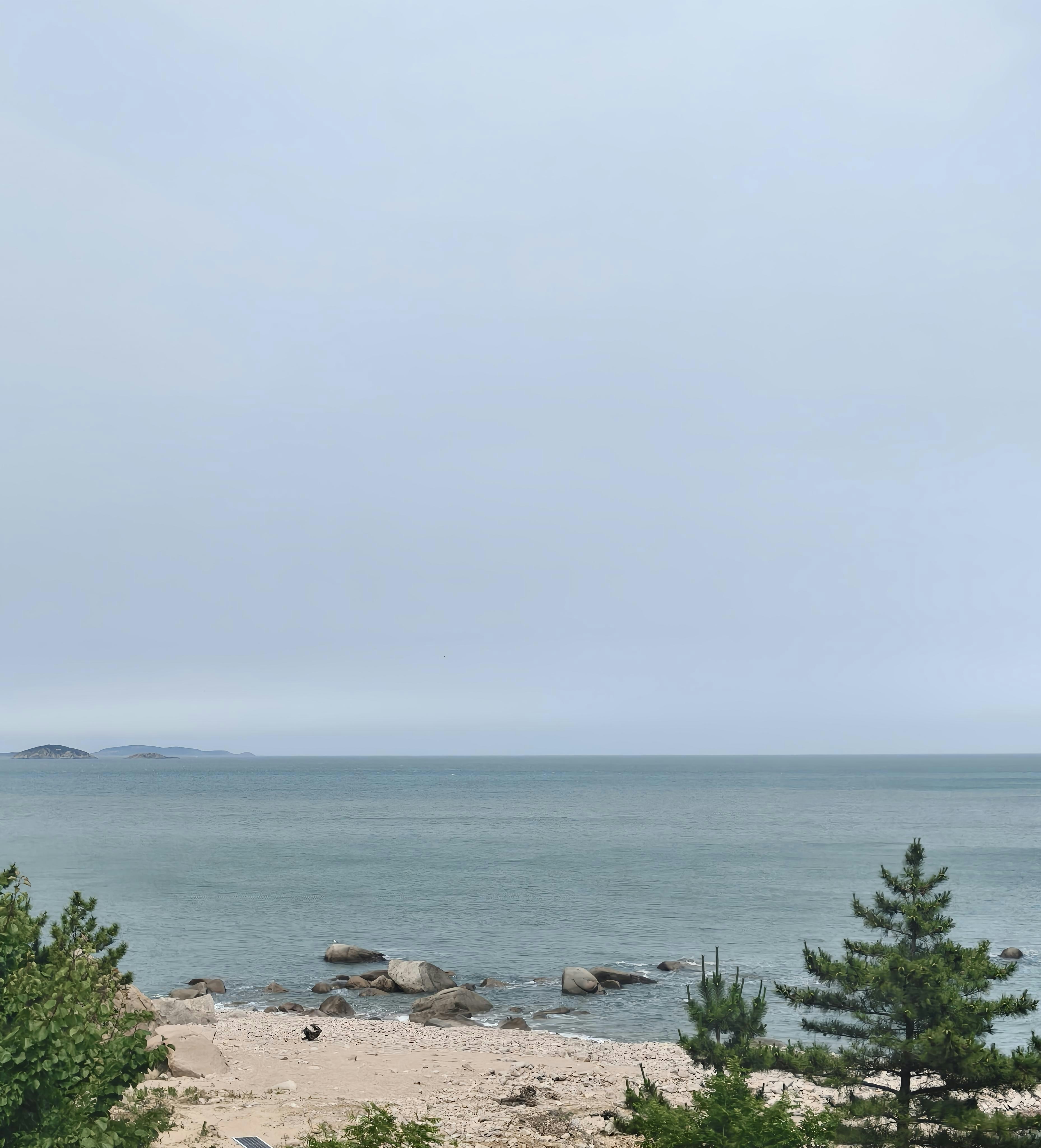 The ocean and trees meet under a cloudy sky.