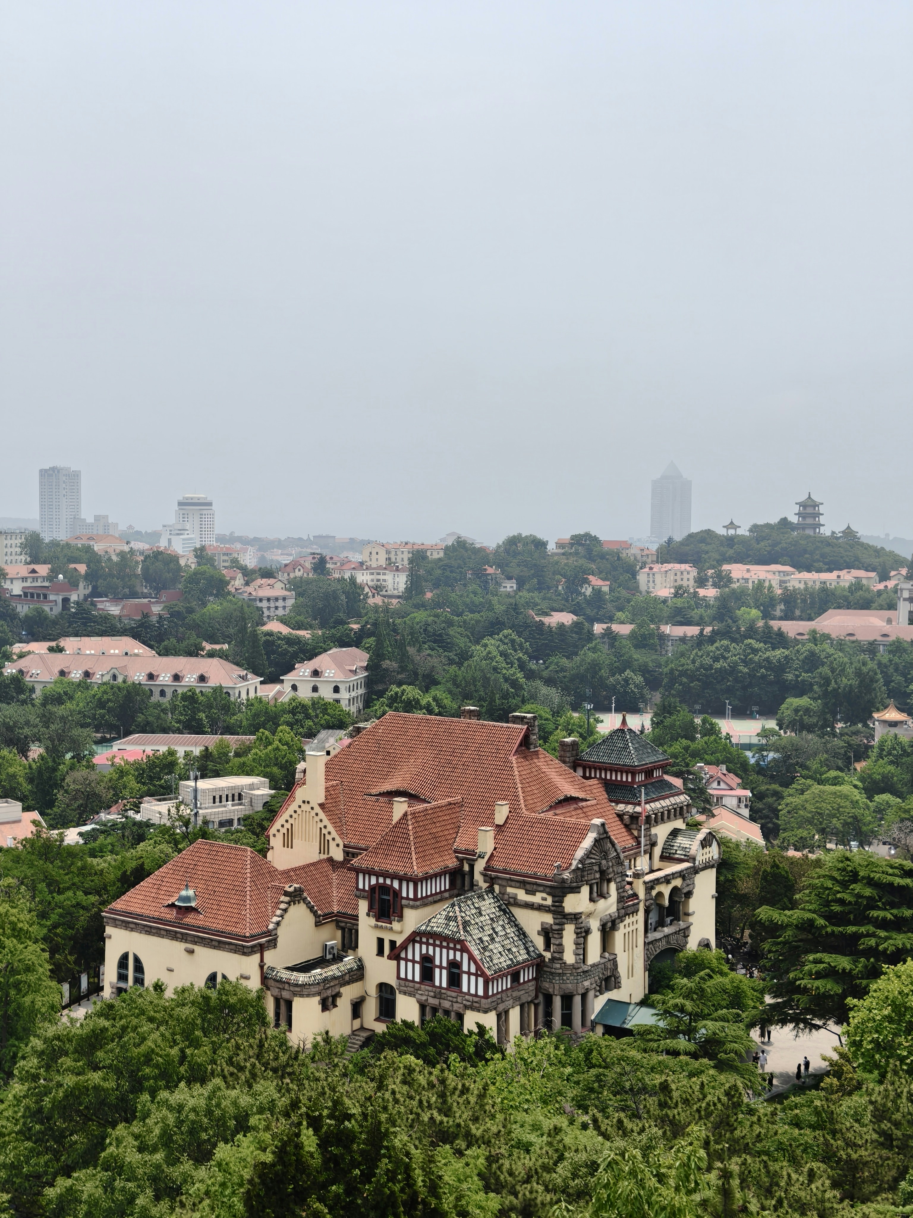 Beautiful building surrounded by trees with city in background.