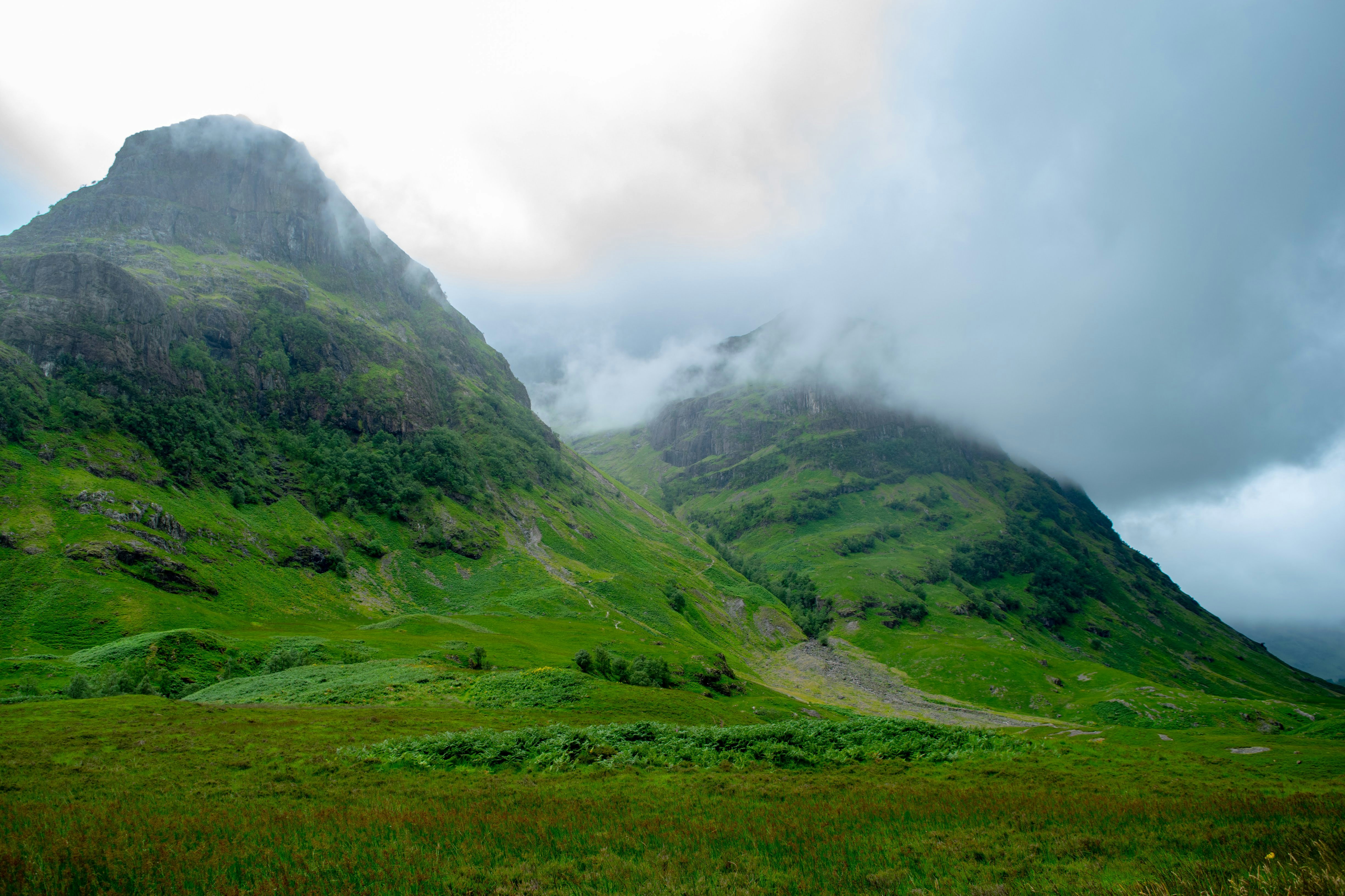 Photo by mangotreetrading