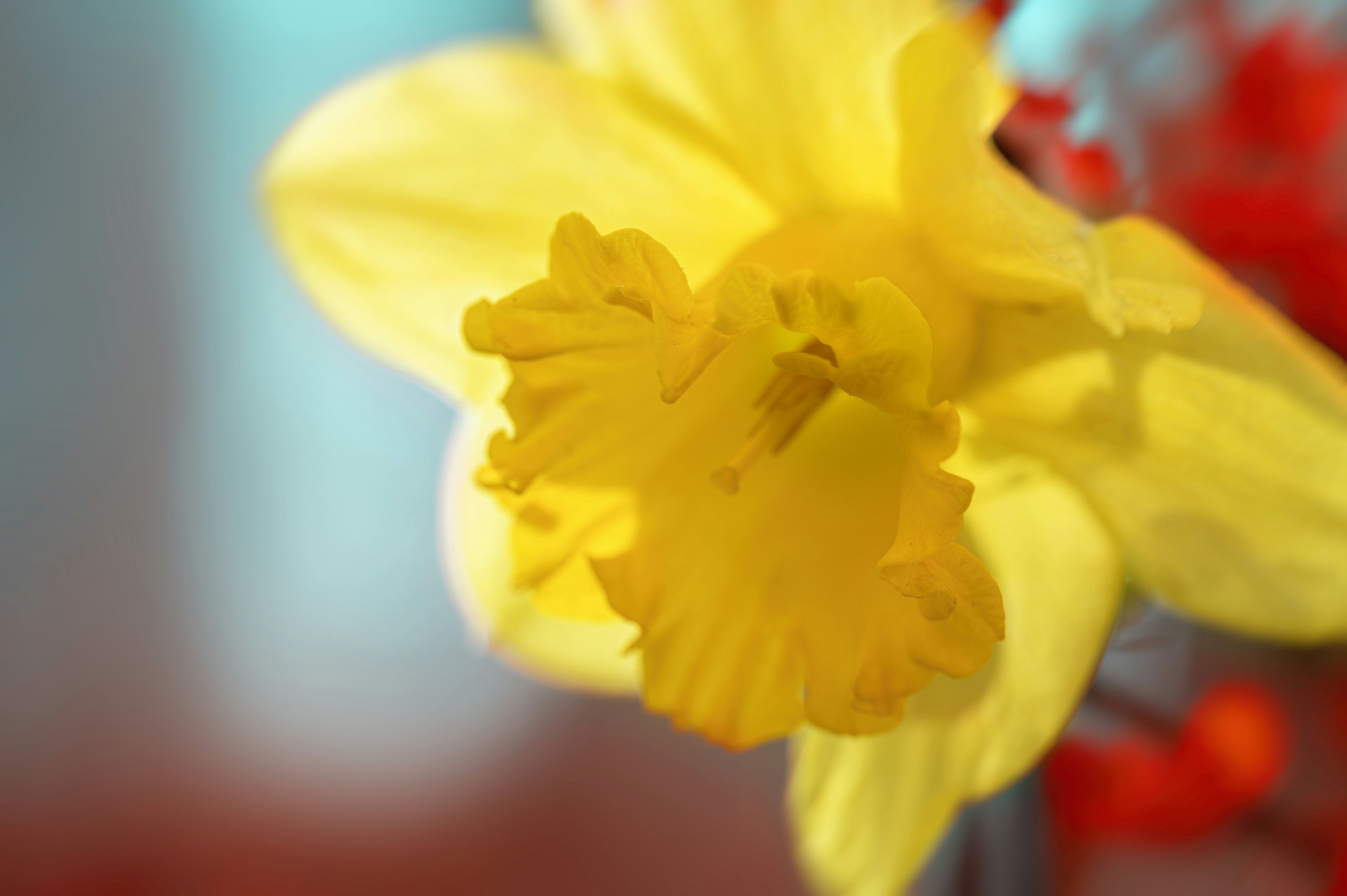 Photo by volodymyr_leush