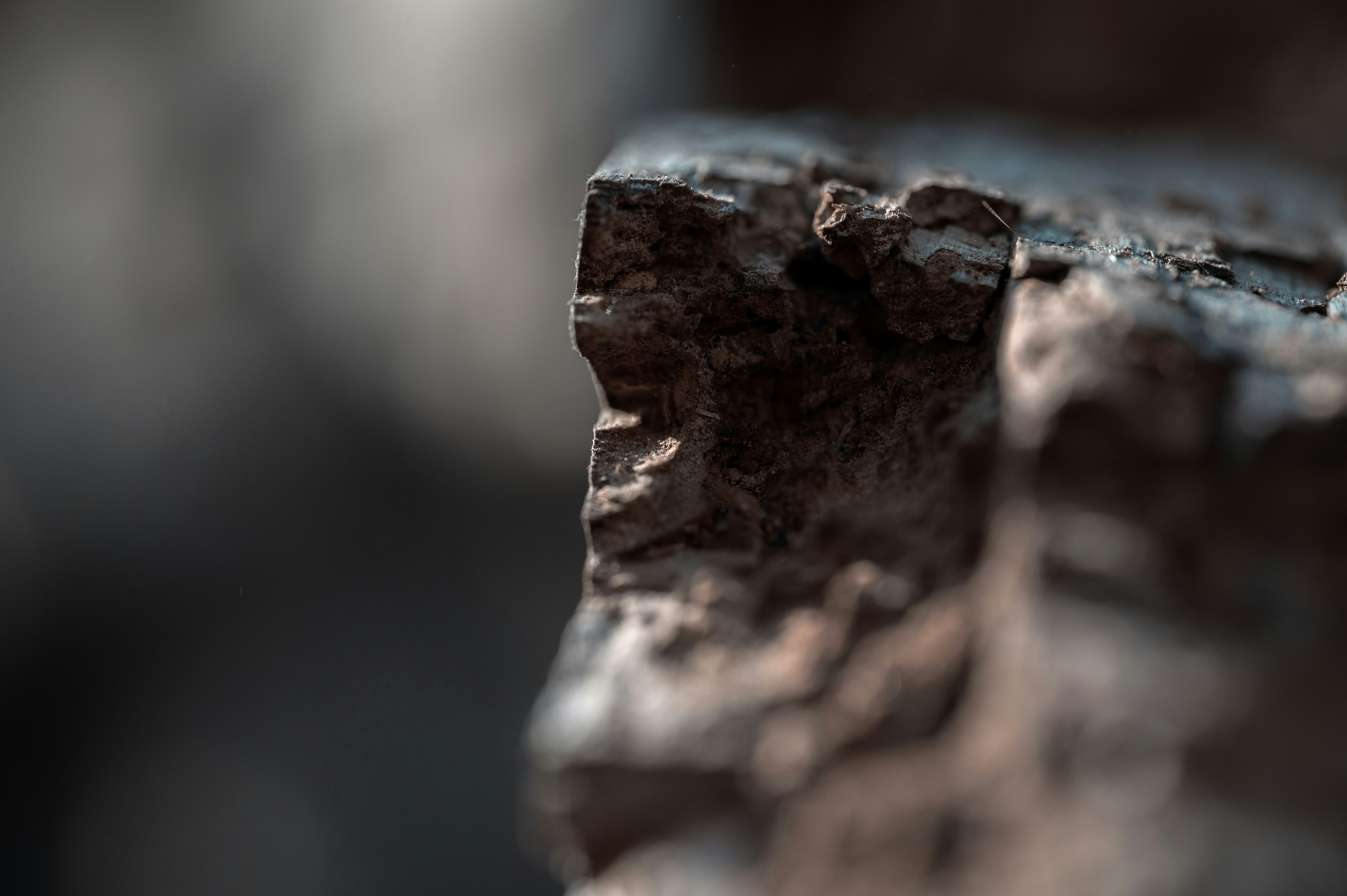 Photo by volodymyr_leush