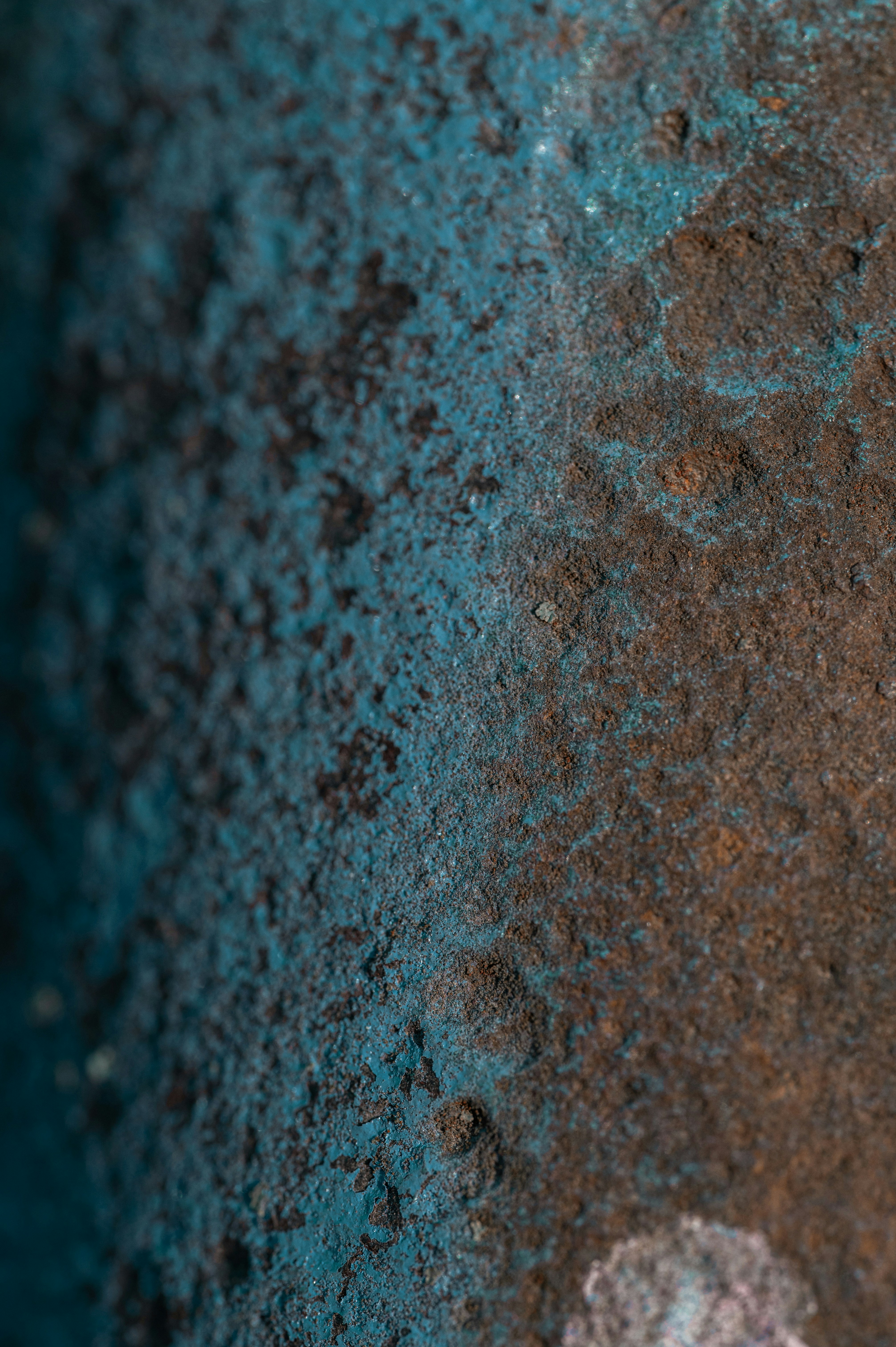 Photo by volodymyr_leush