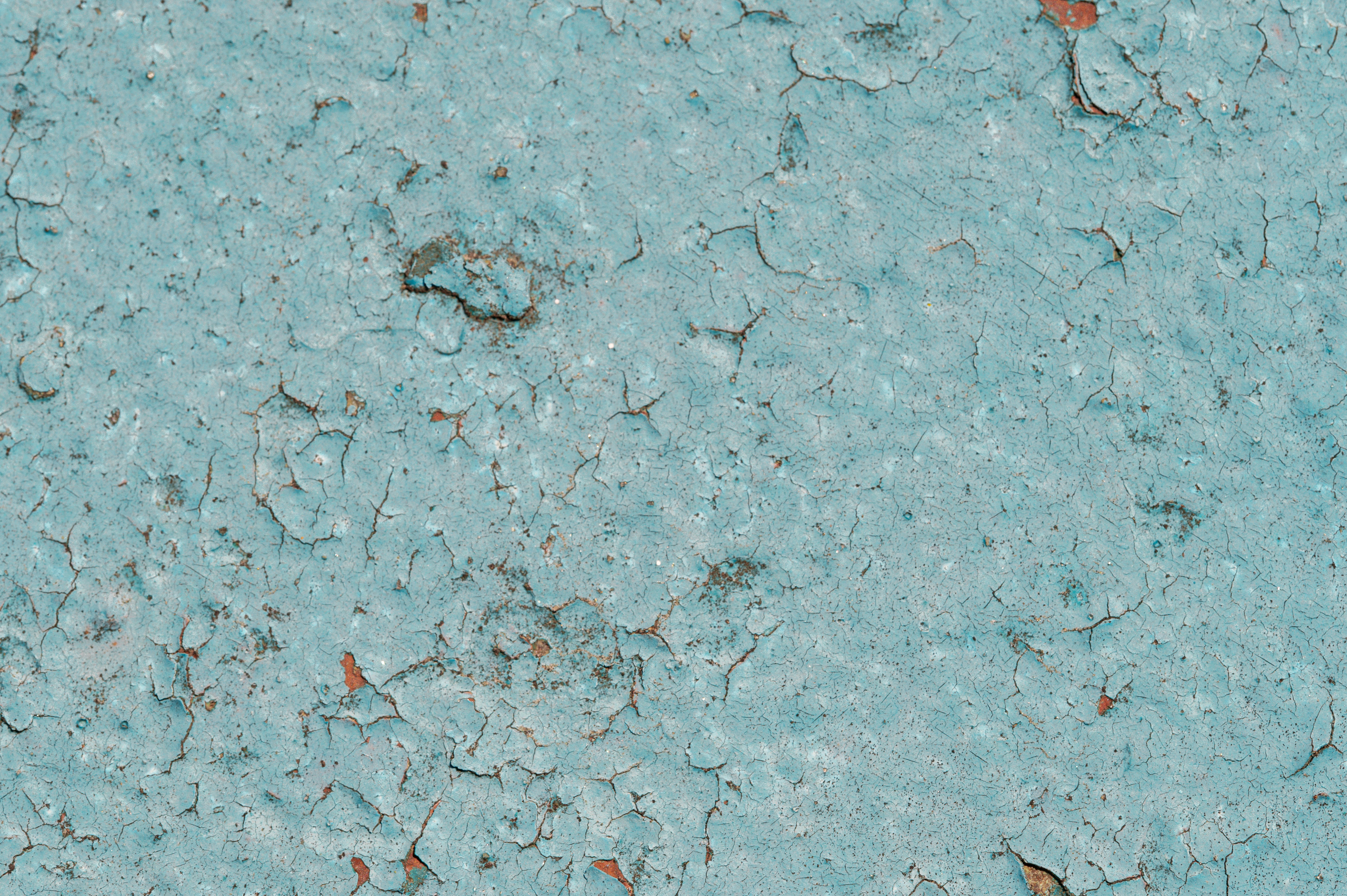 Photo by volodymyr_leush