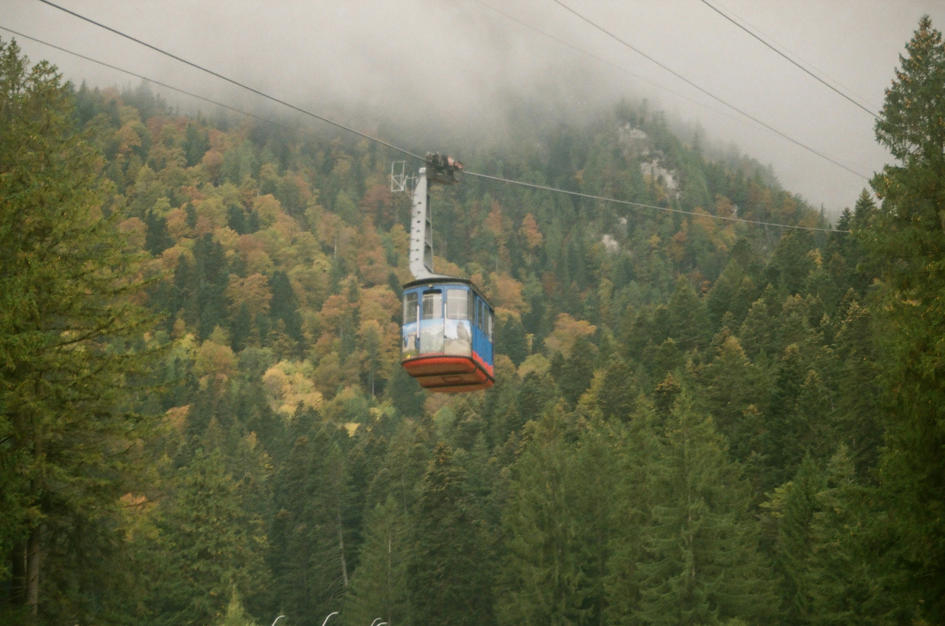 A gondola traverses through a dense forest, surrounded by autumn foliage and misty mountains in the background.