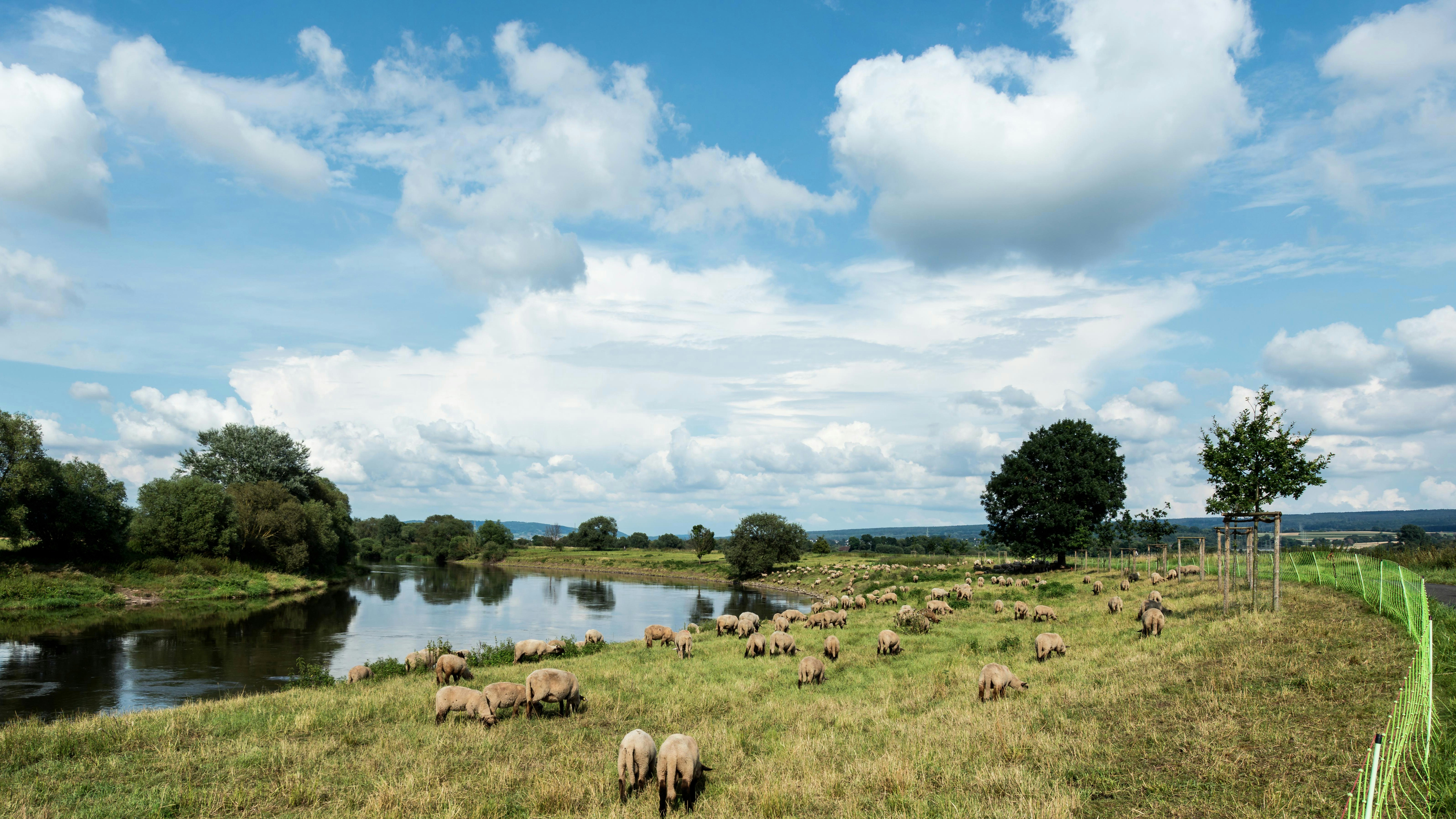 Photo by hamburgmeinefreundin