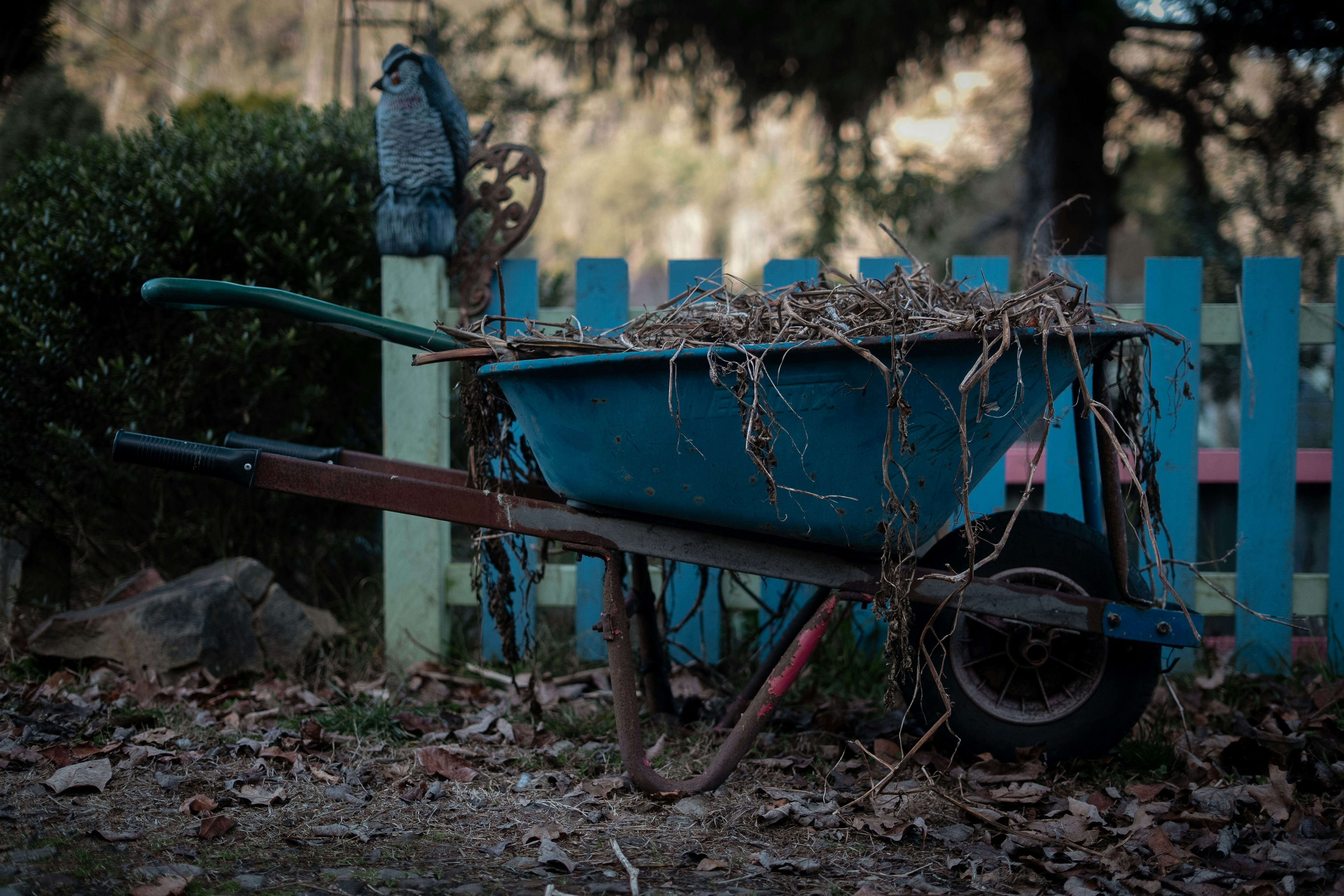 Photo by jingchenglee77