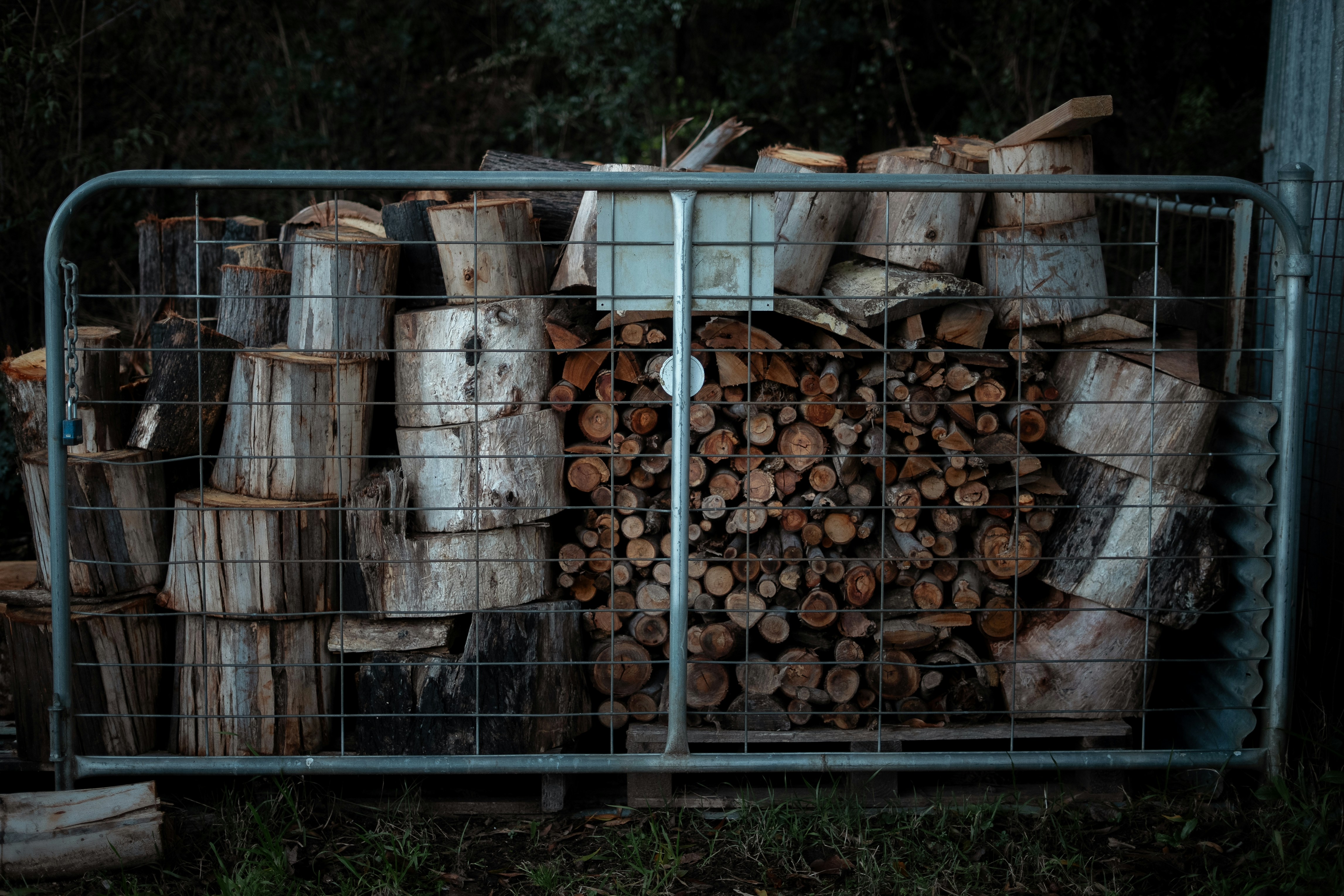 Photo by jingchenglee77