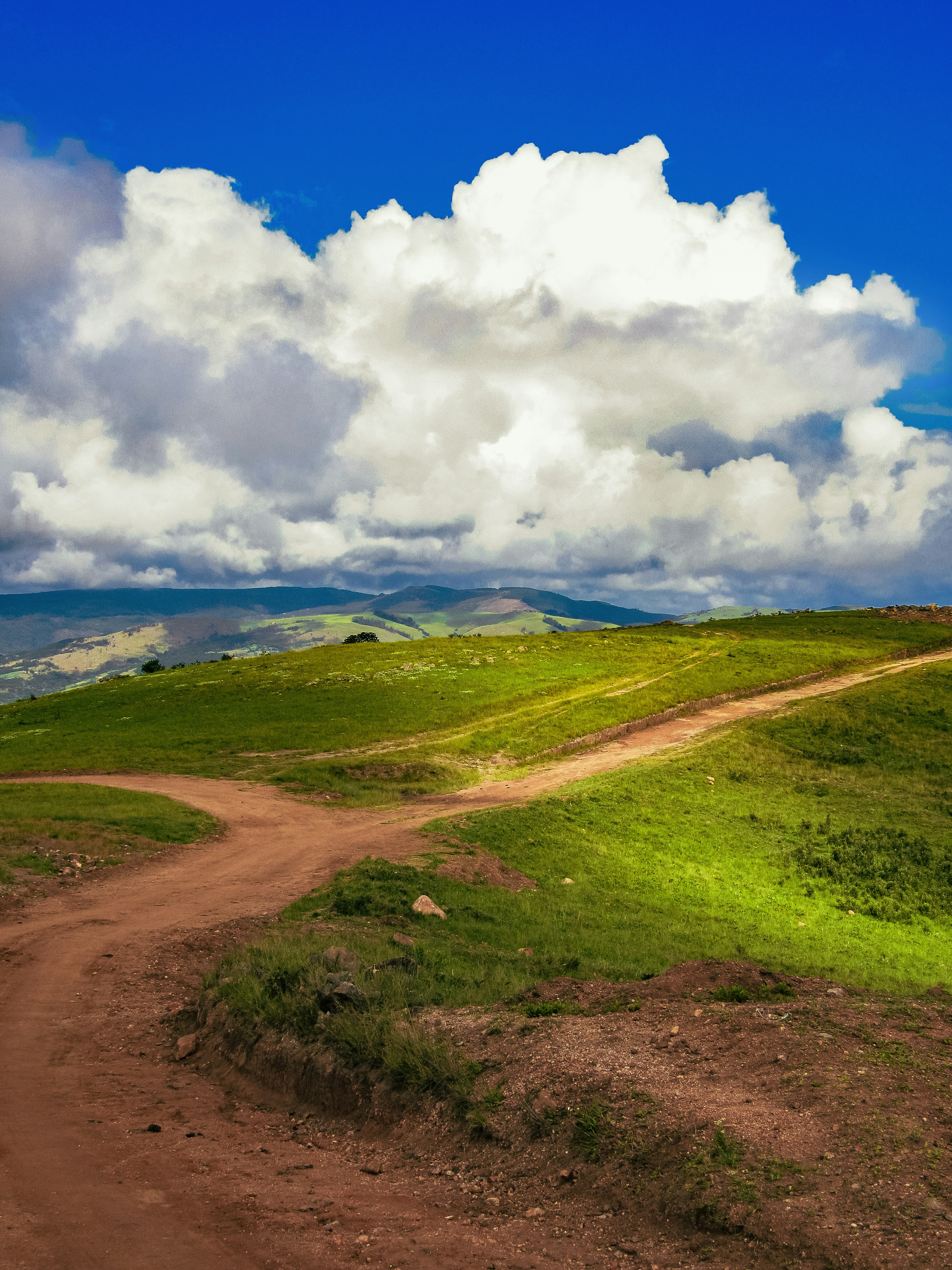 Photo by proudlyswazi_free