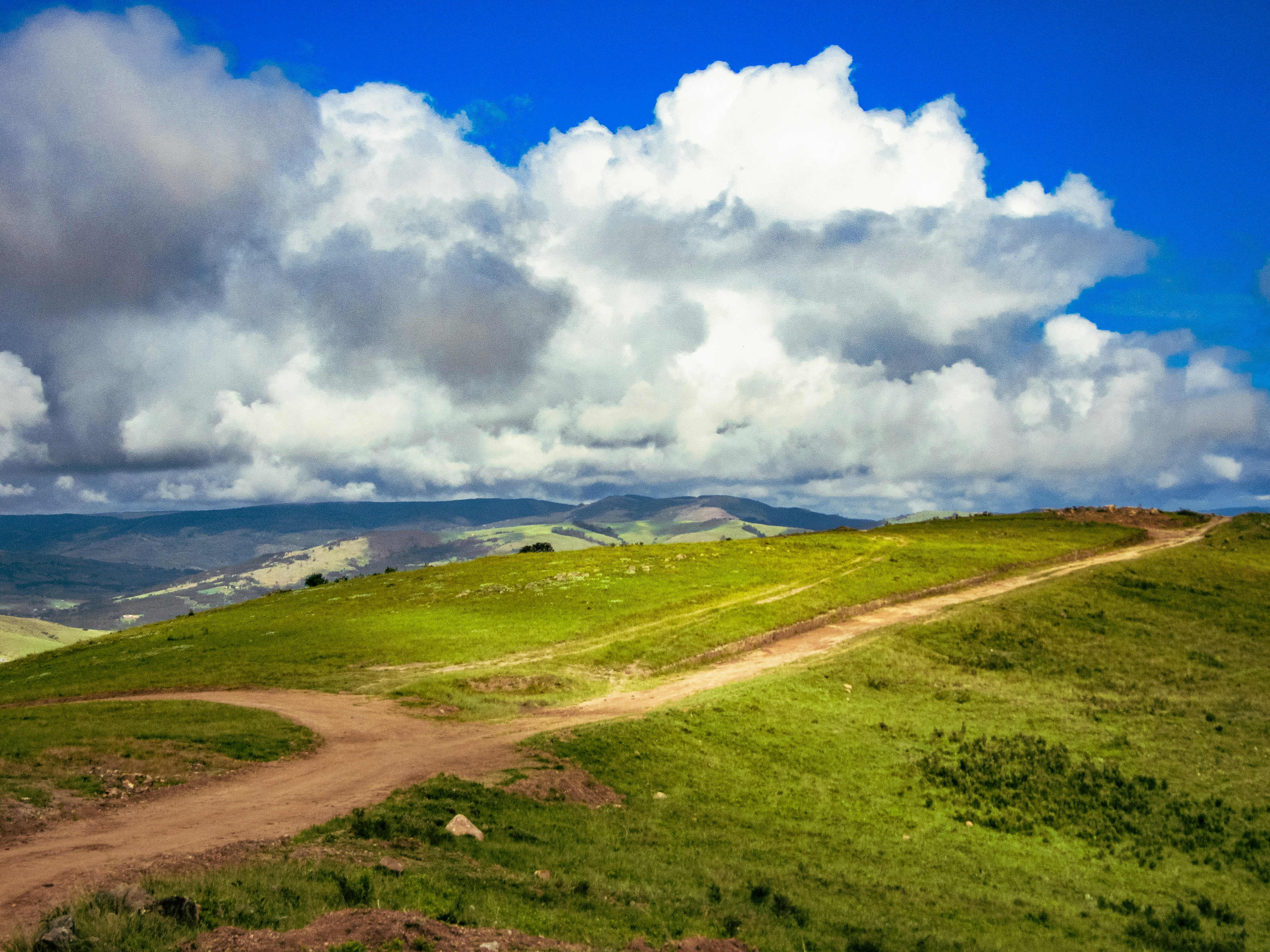 Photo by proudlyswazi_free