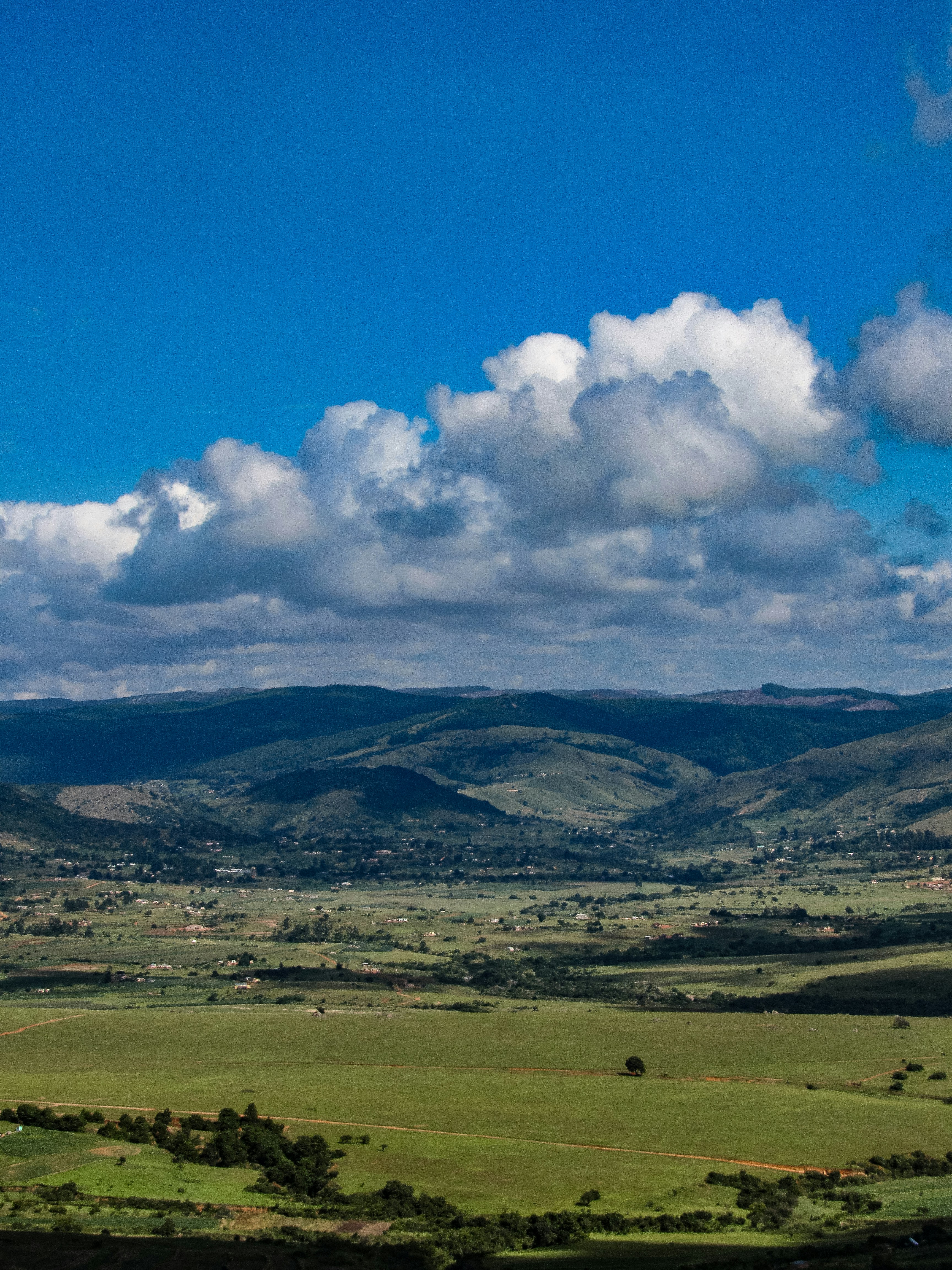 Photo by proudlyswazi_free