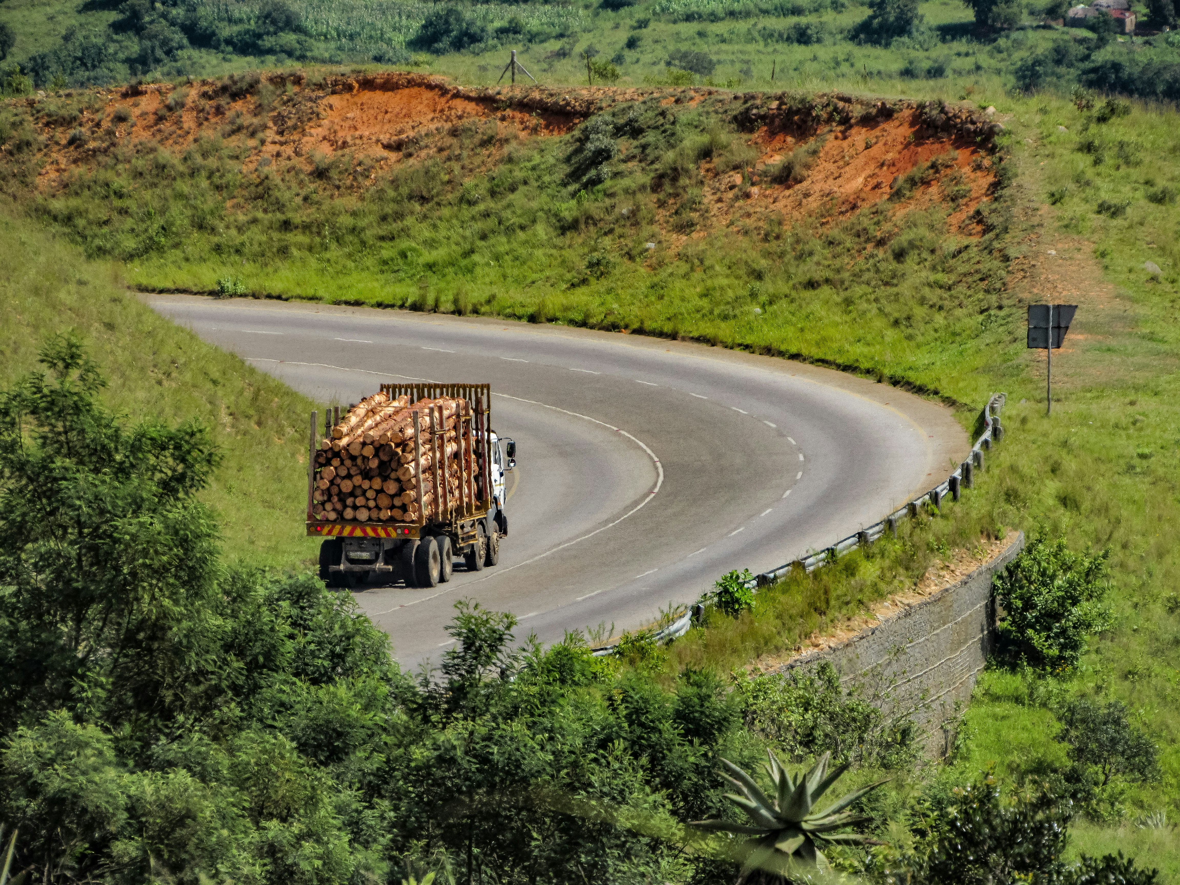 Photo by proudlyswazi_free