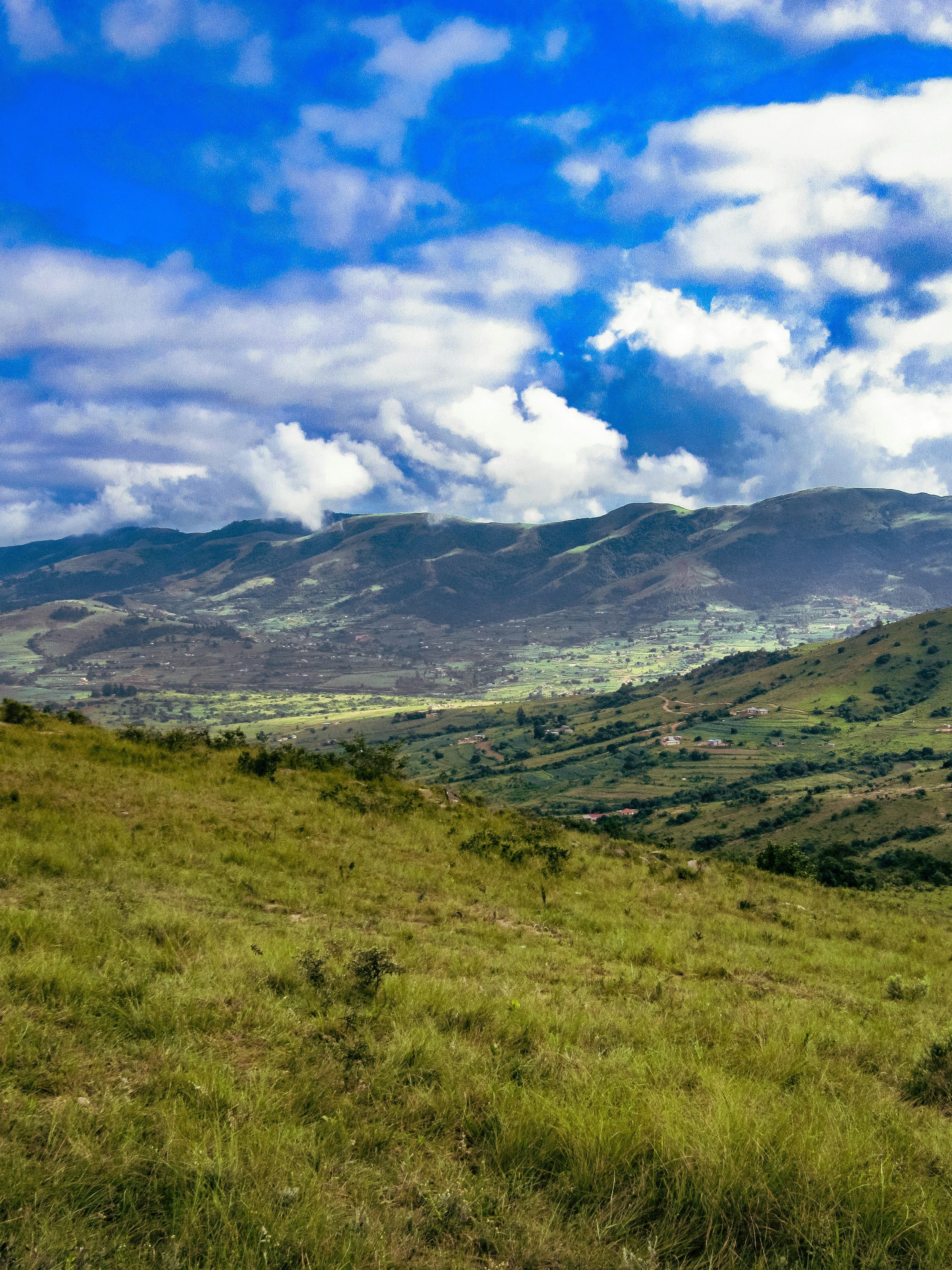 Photo by proudlyswazi_free