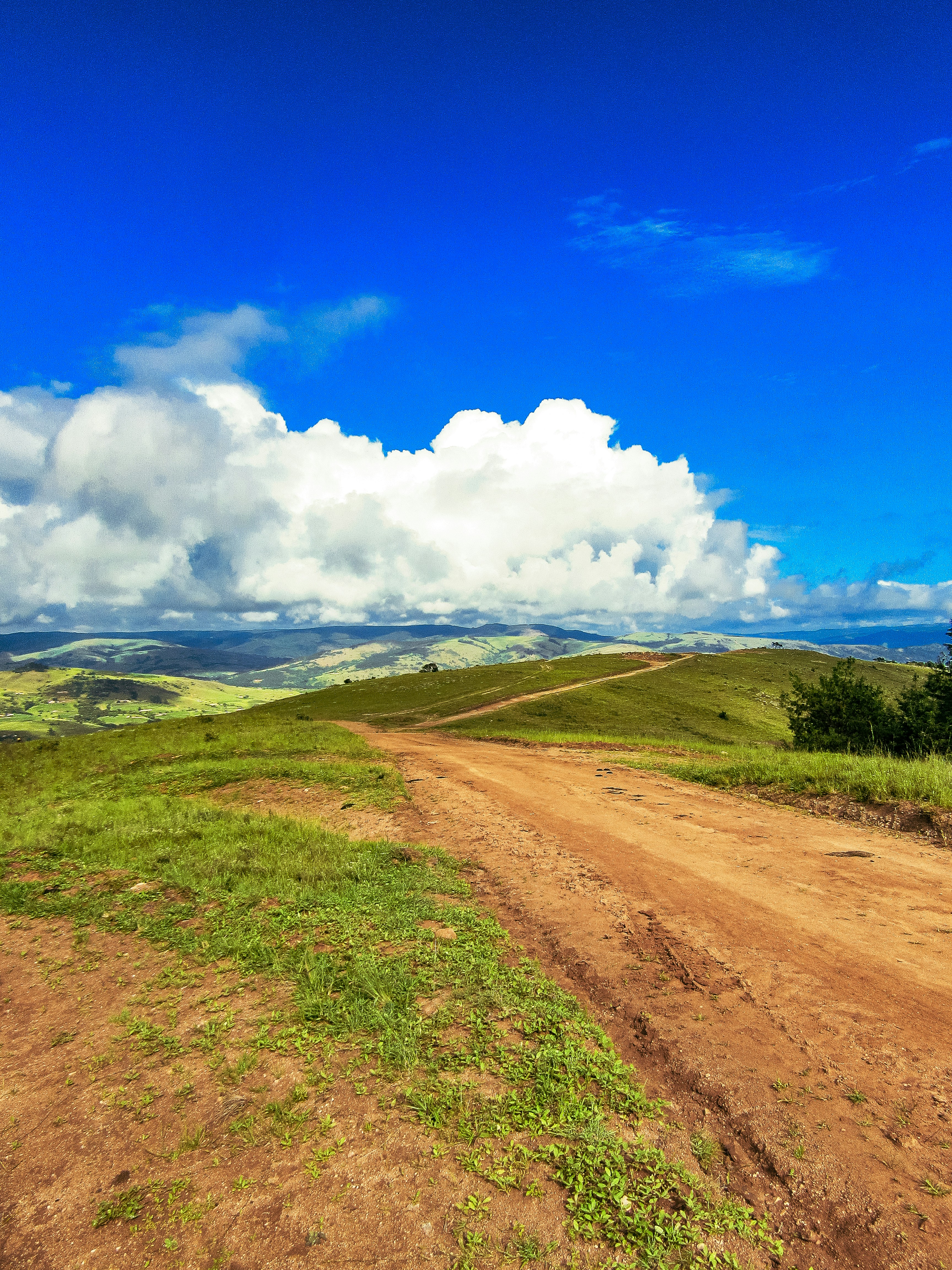 Photo by proudlyswazi_free