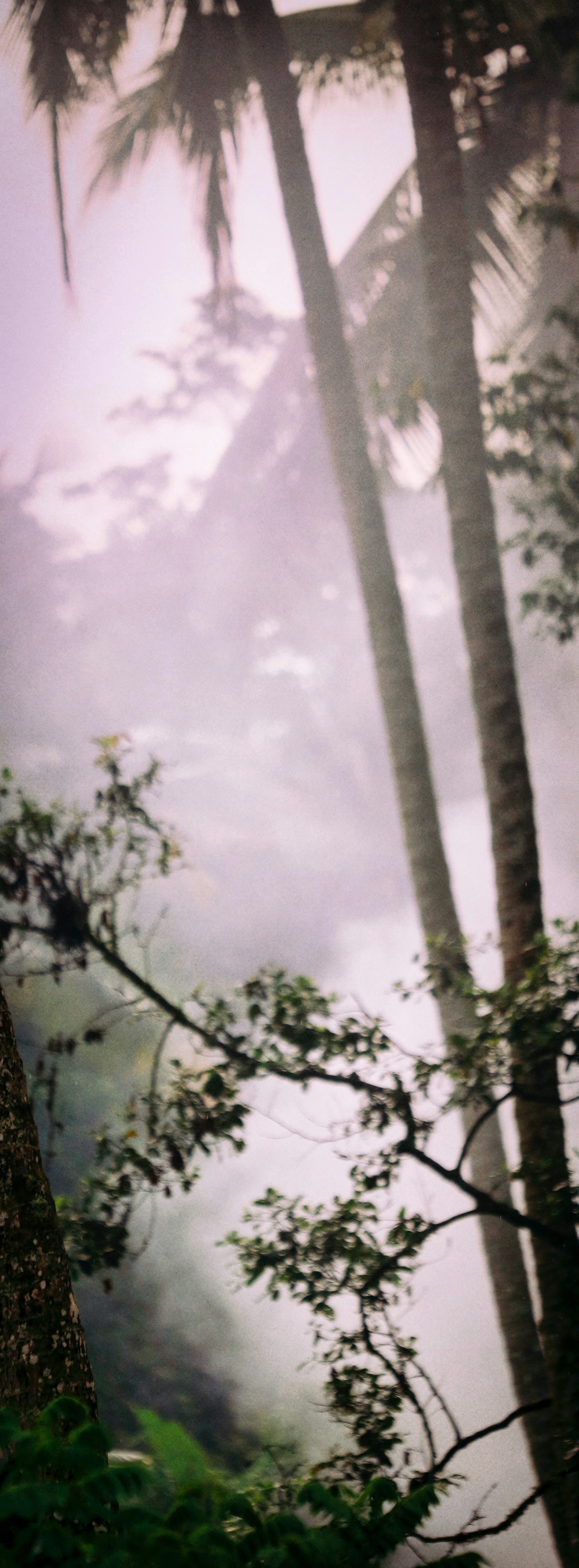 Photo by alexeydemidov