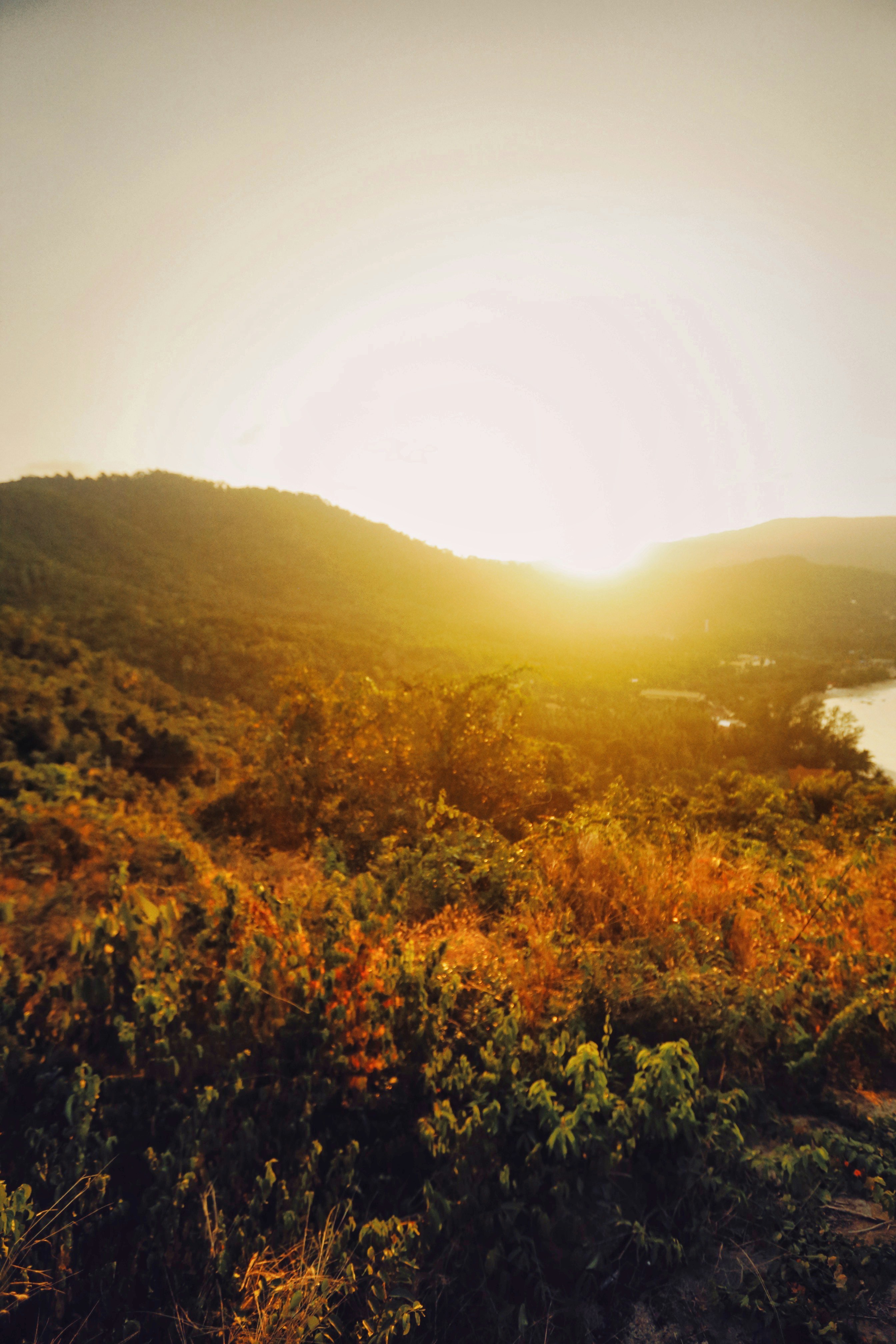 Photo by alexeydemidov