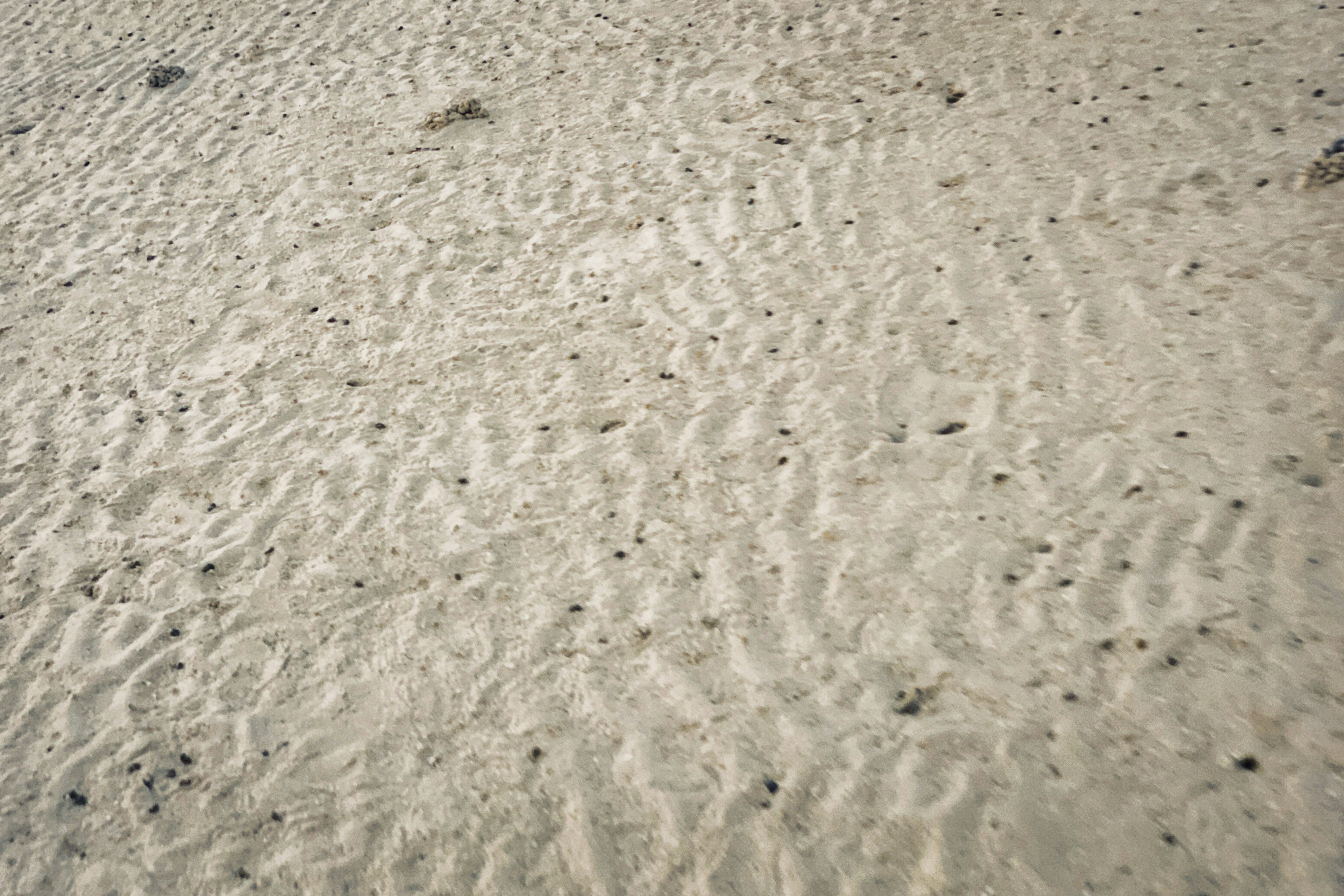 Photo by alexeydemidov