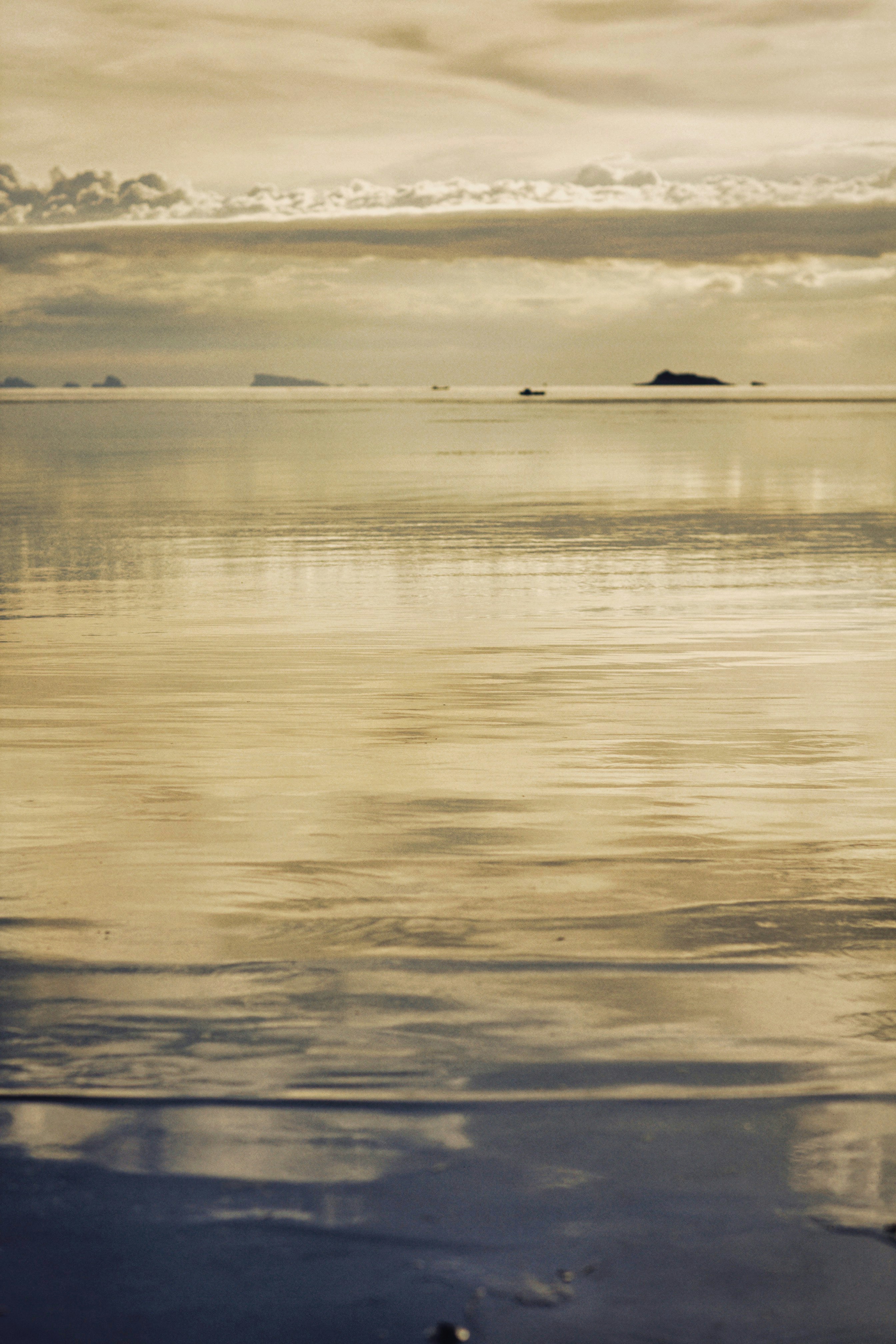 Photo by alexeydemidov