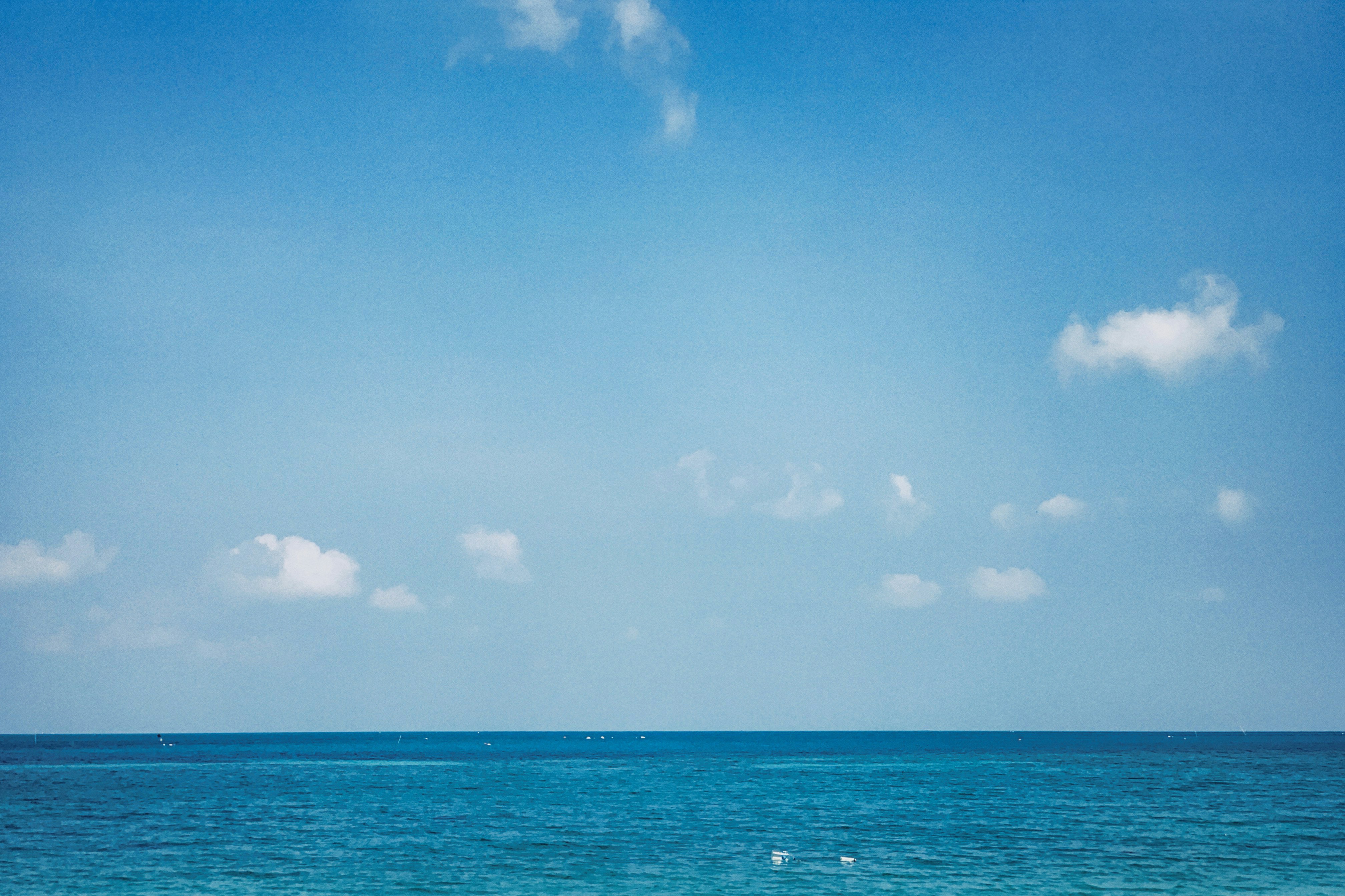 Photo by alexeydemidov