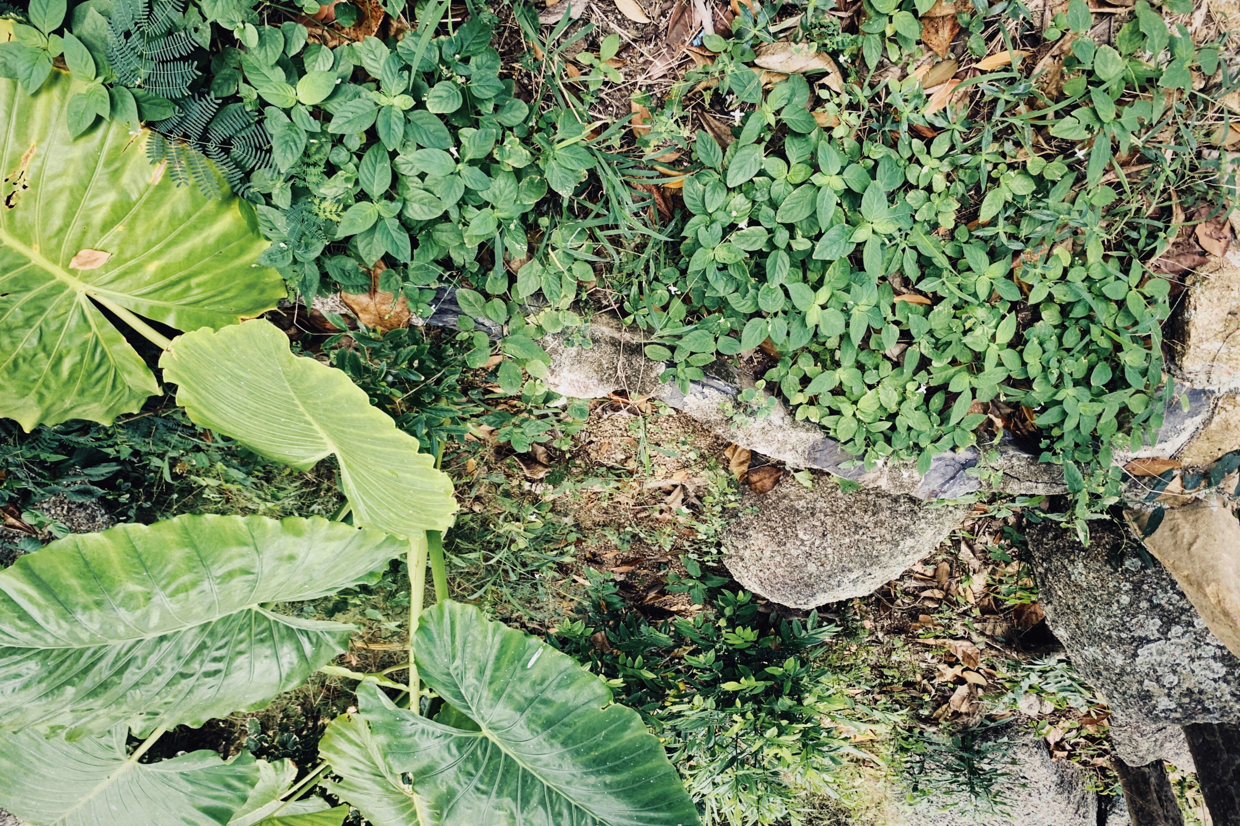 Photo by alexeydemidov