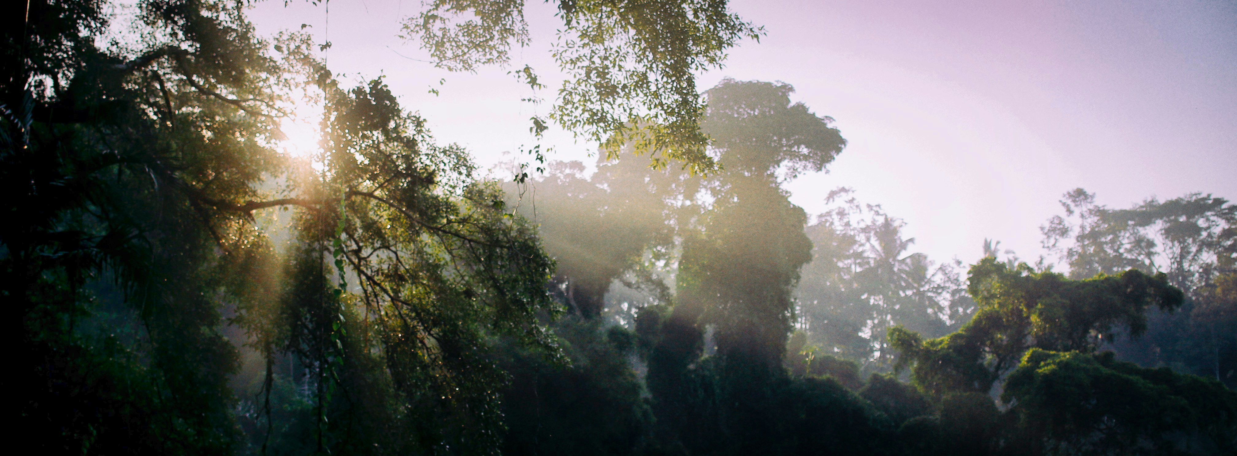 Photo by alexeydemidov