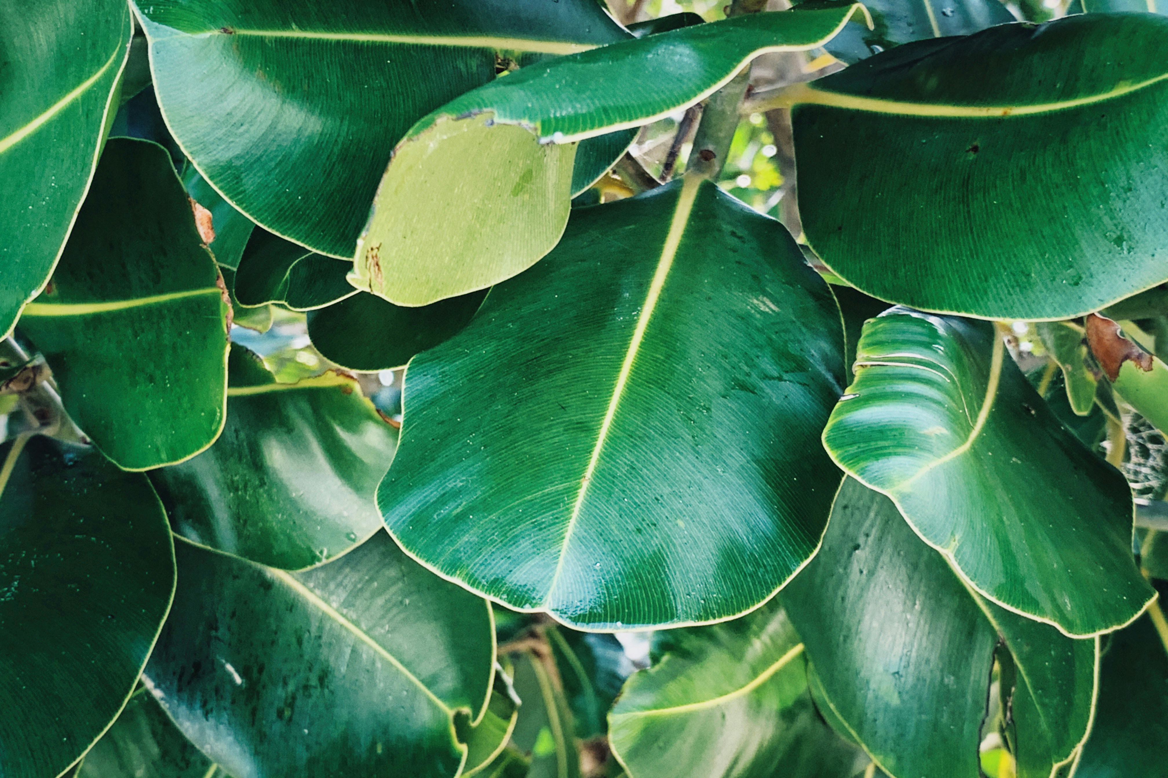 Photo by alexeydemidov