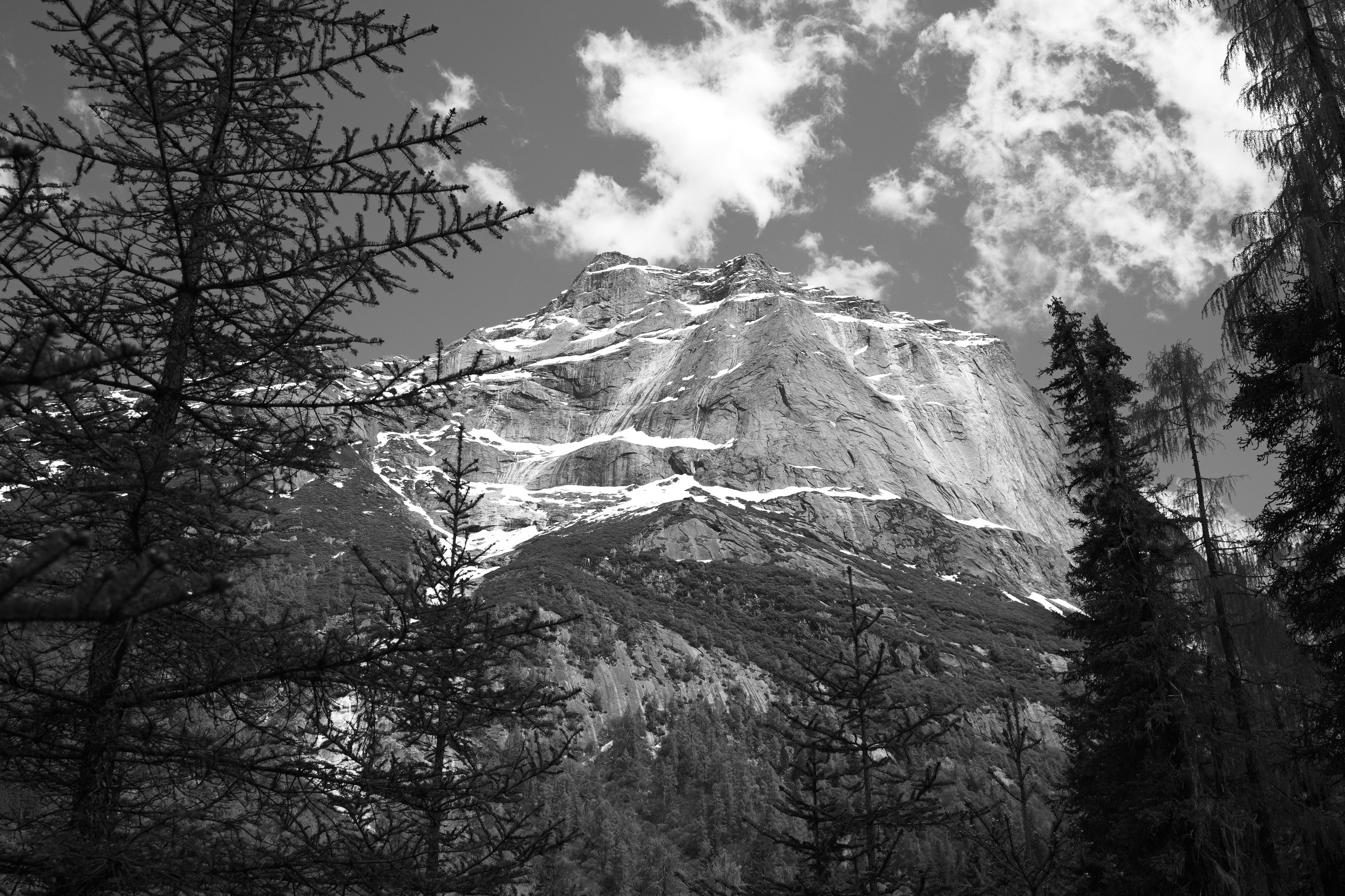 Photo by yejiangyang