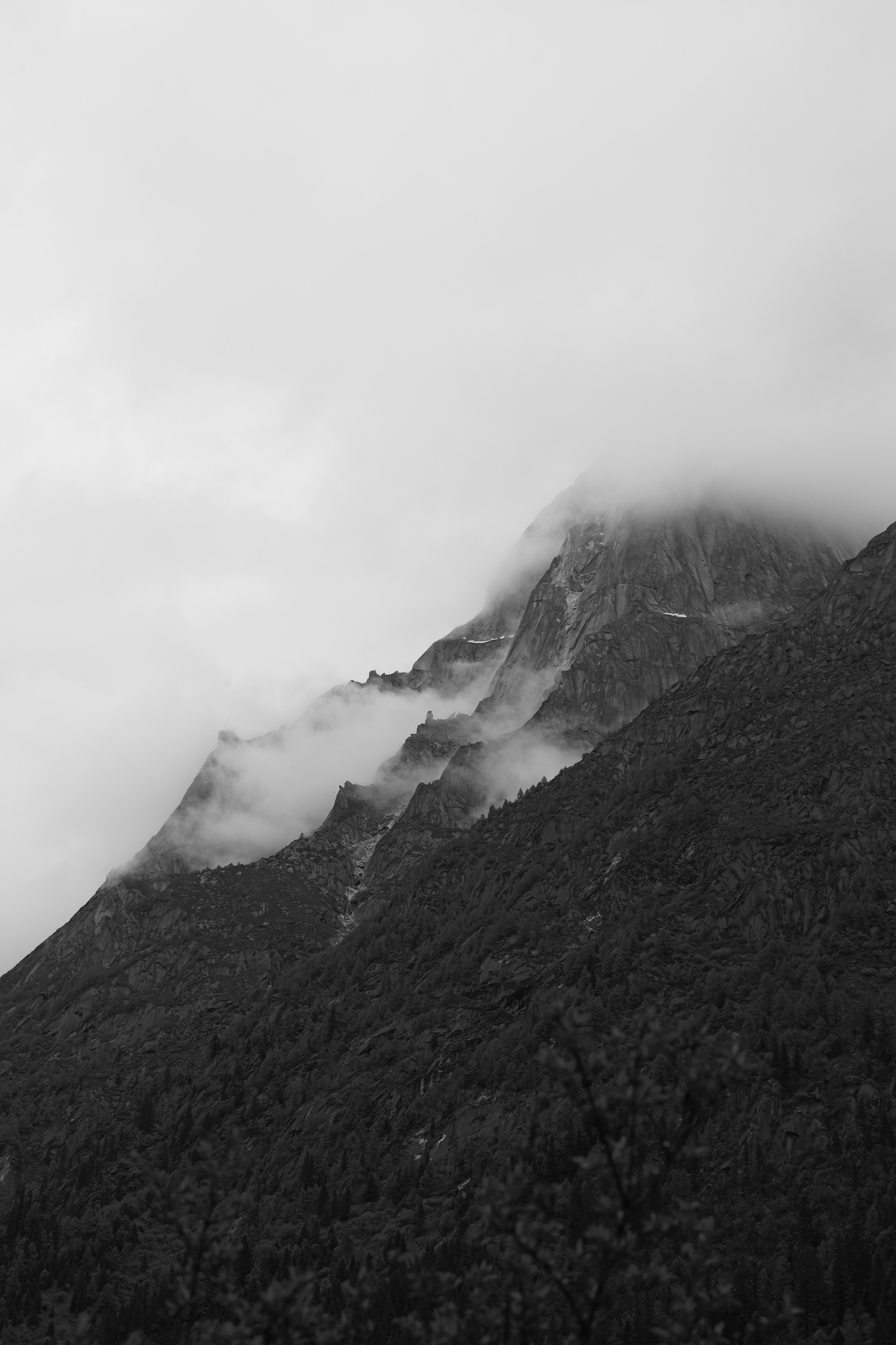 Photo by yejiangyang