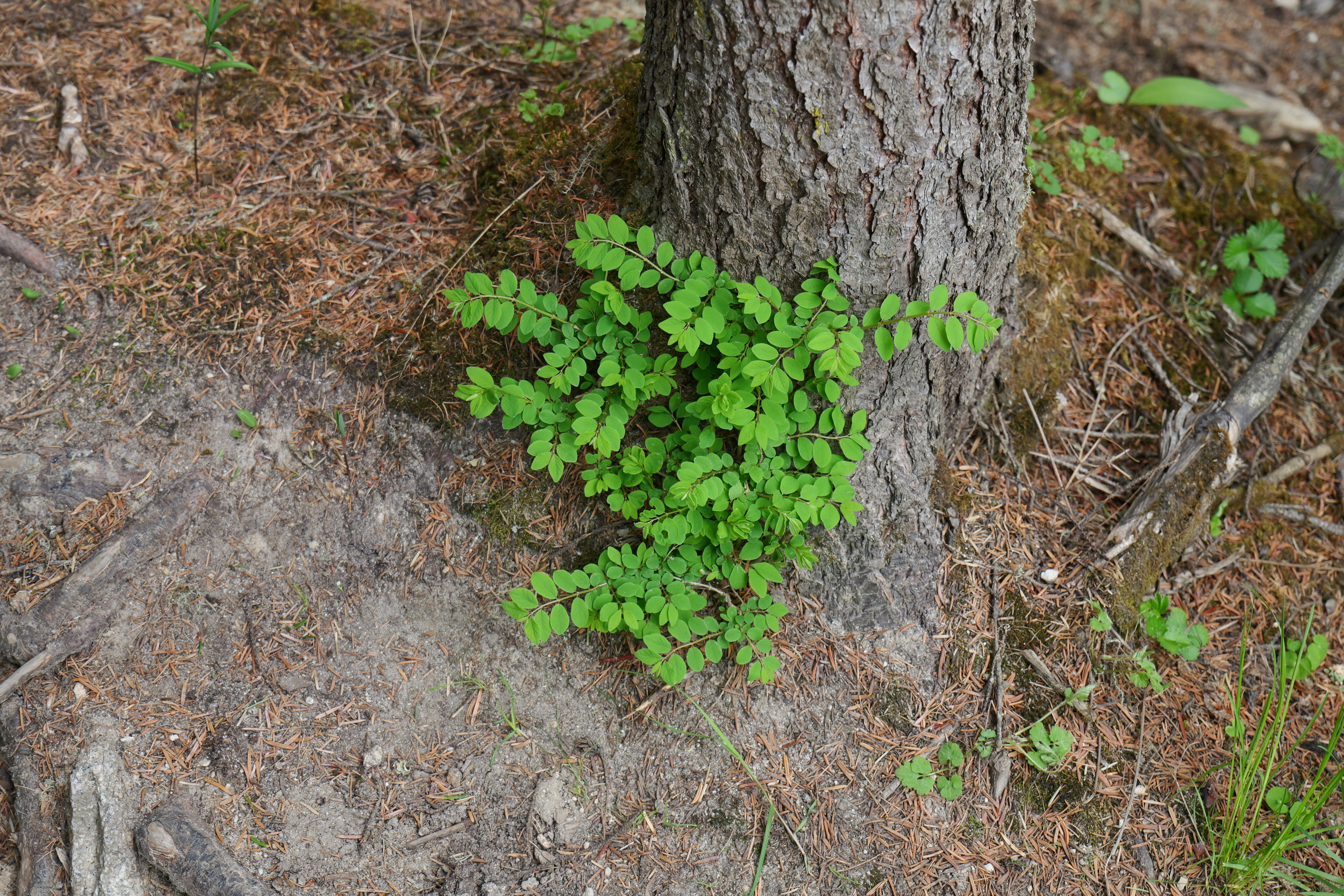 Photo by yejiangyang