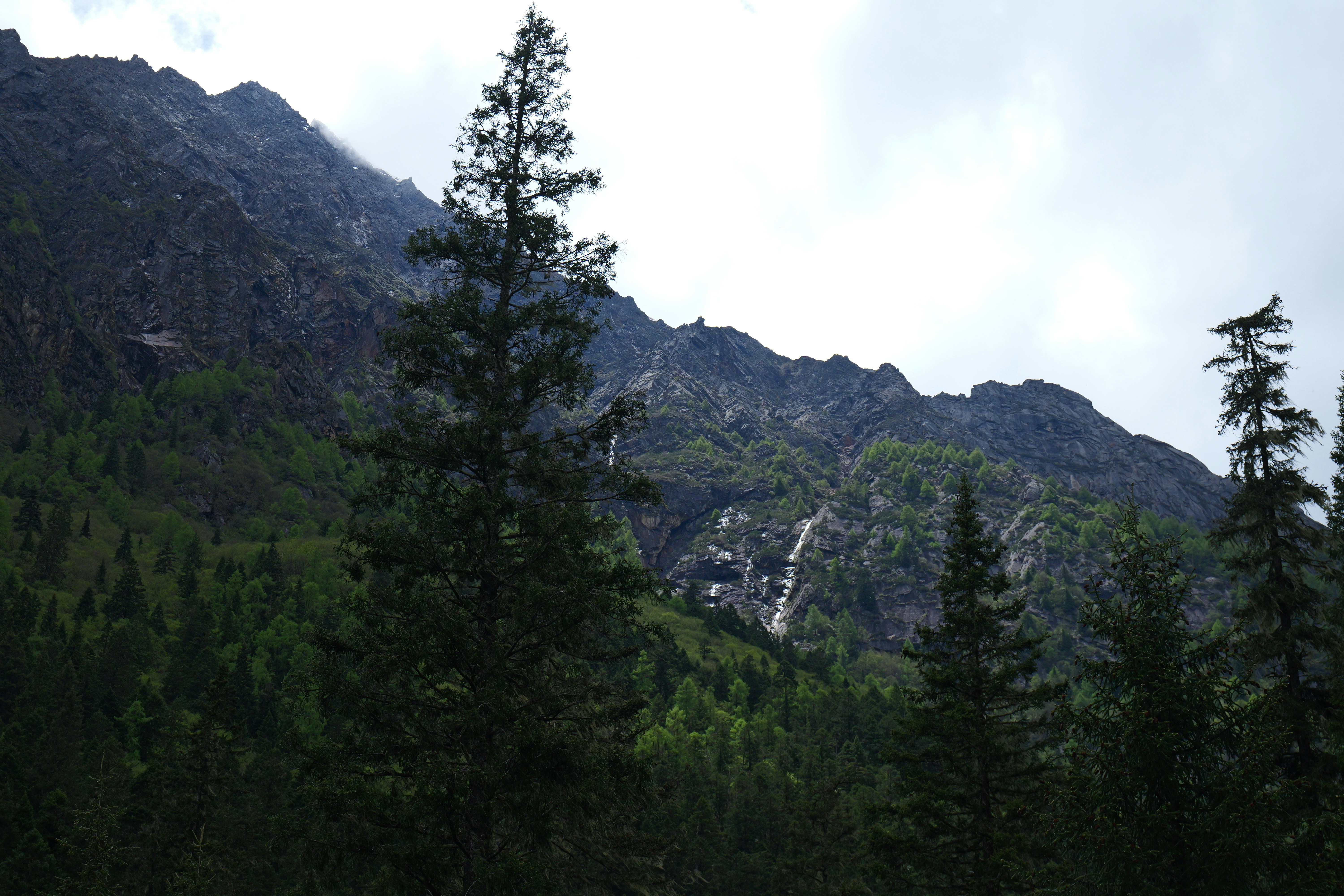 Photo by yejiangyang