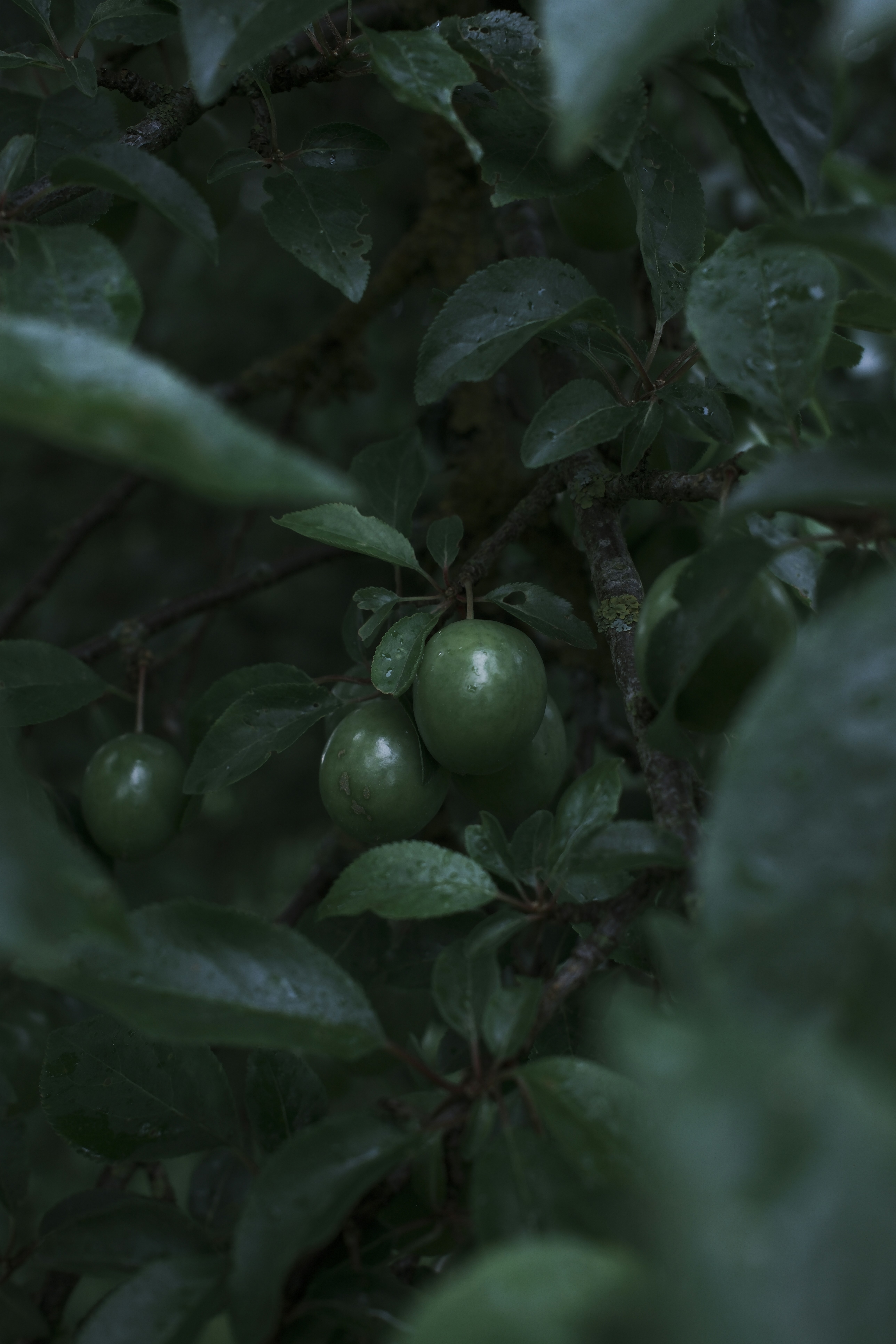 Photo by inga_images