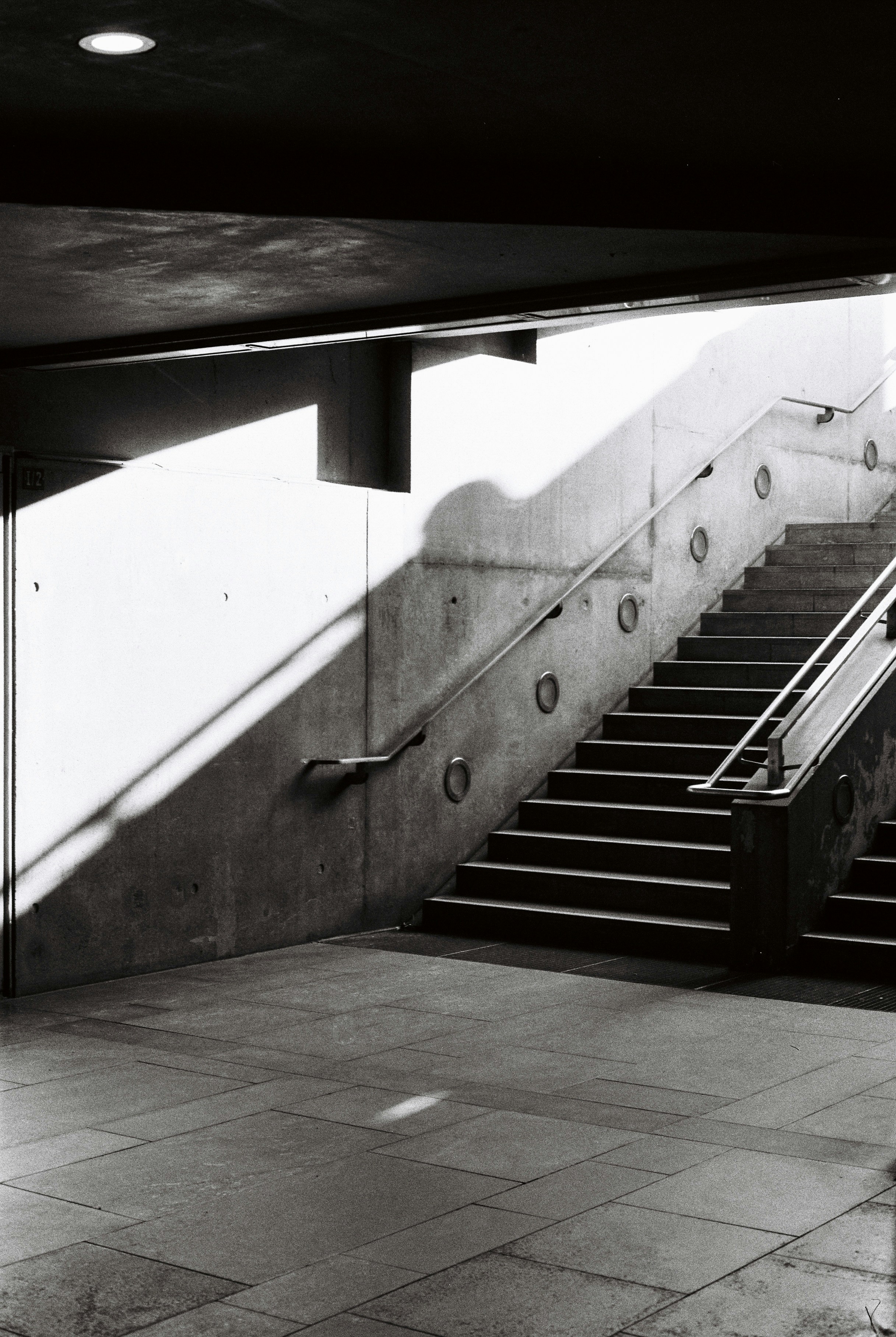 Photo by luca_severin