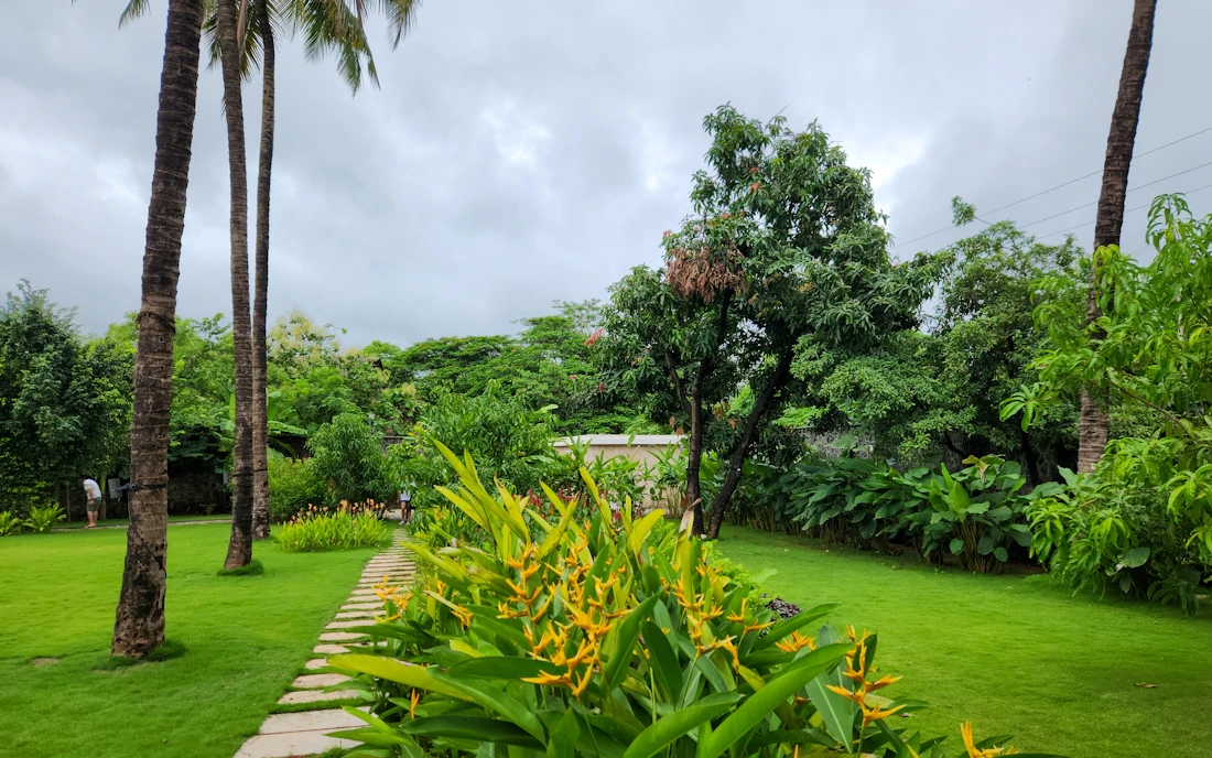 Plant & Tree Installation in Southwest Florida