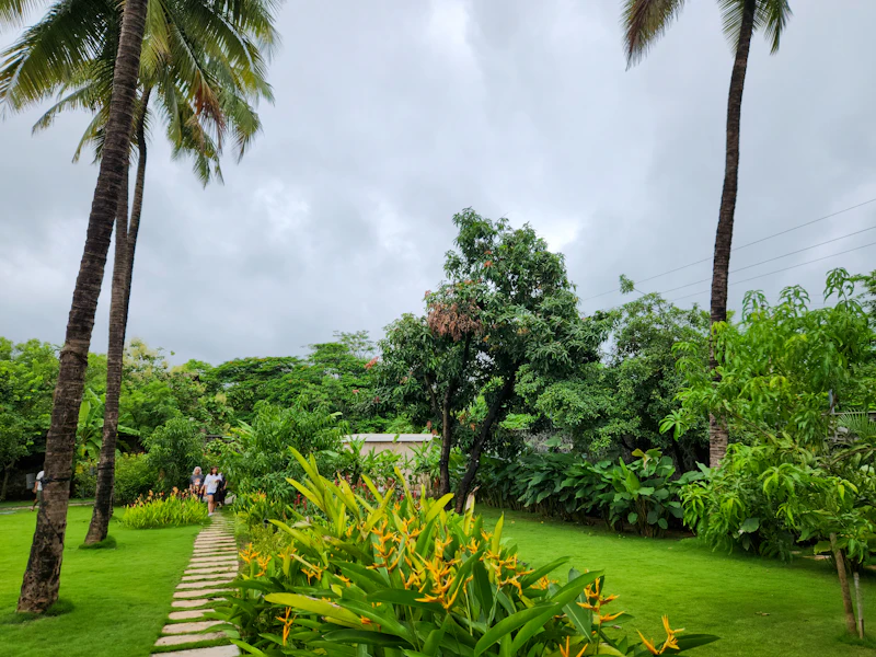 Landscaping in Cape Coral, FL