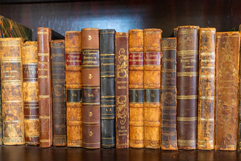 Old books are arranged on a shelf