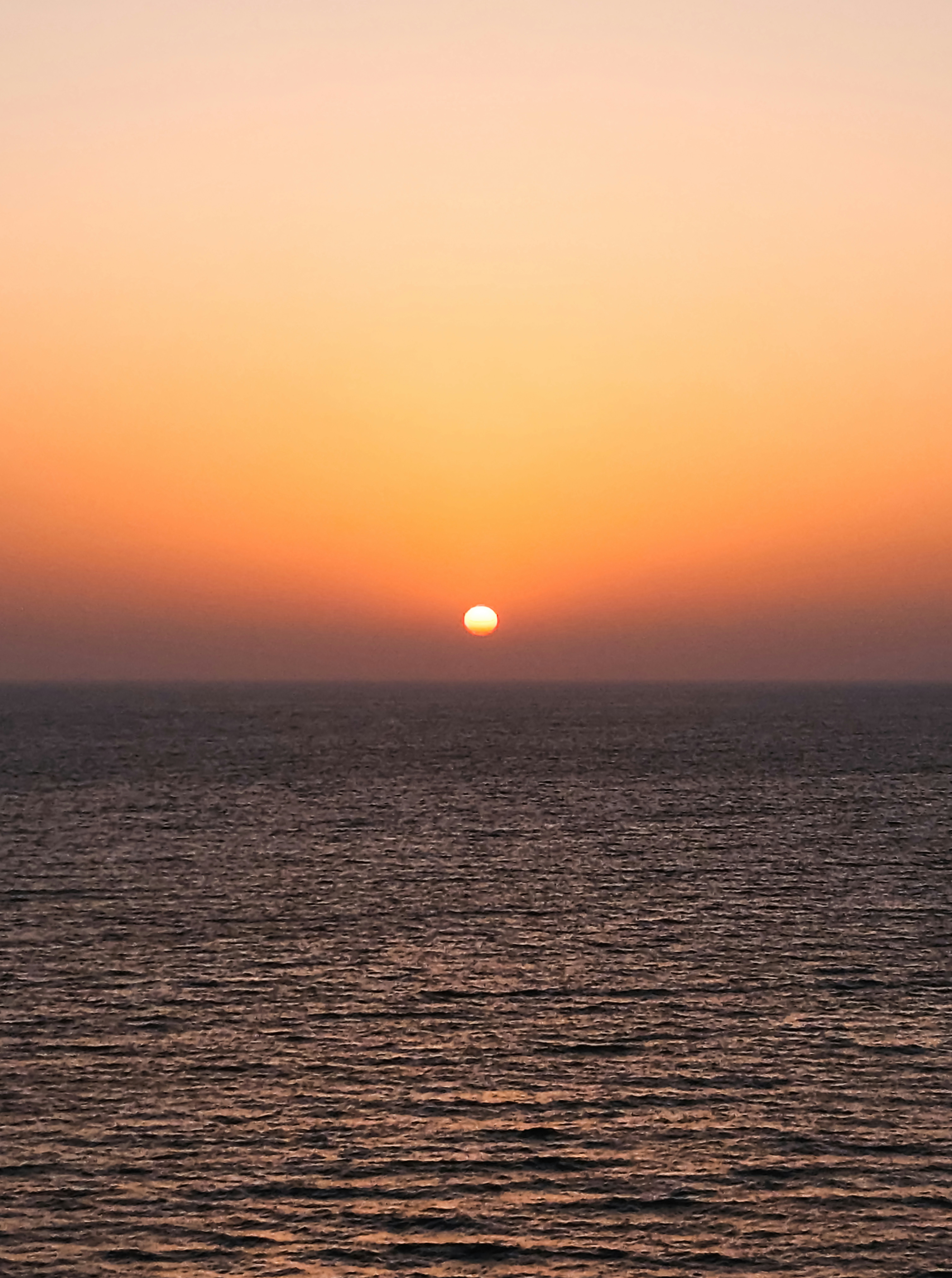 Photo by zoshuacolah