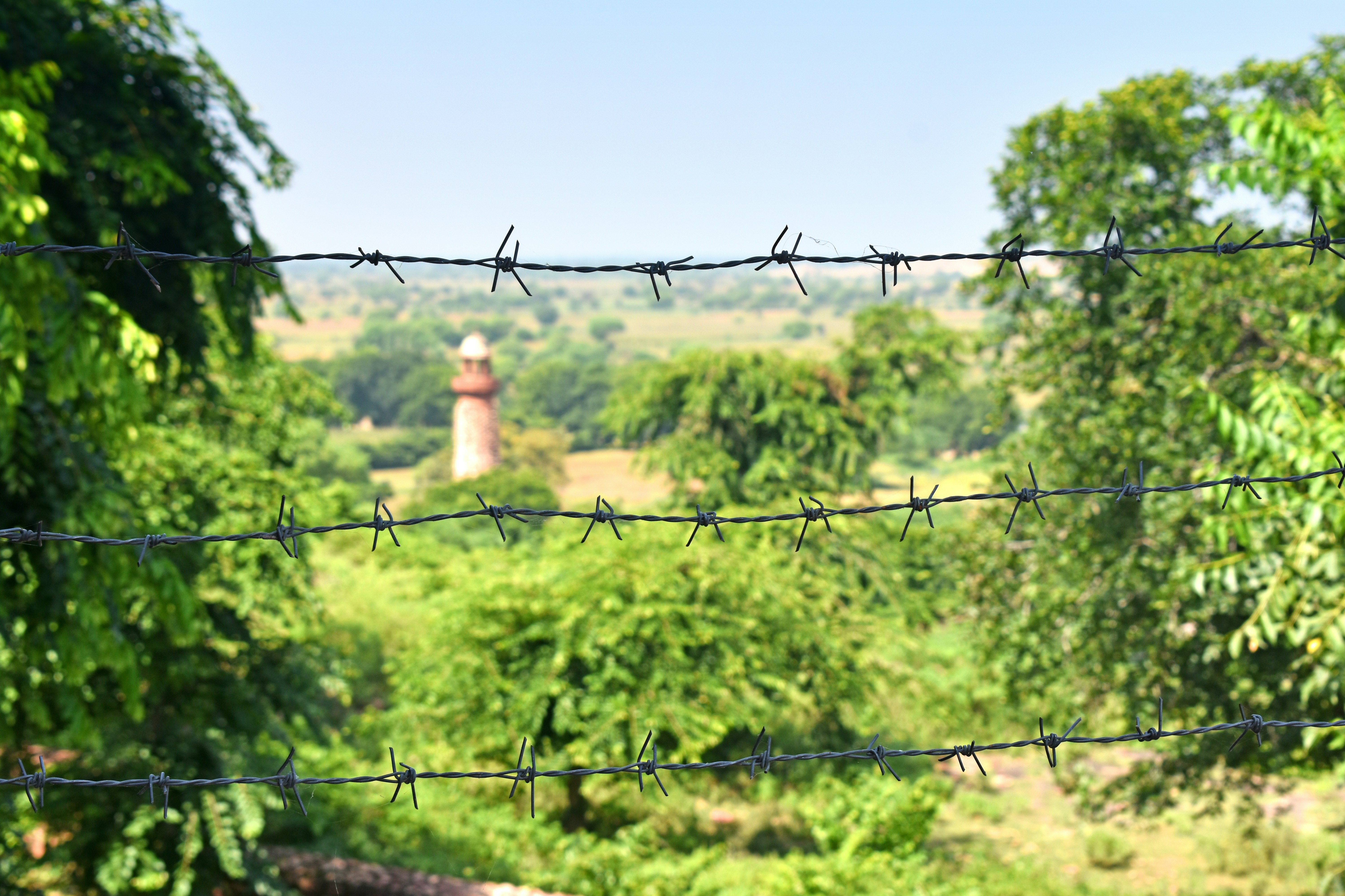 Photo by bridgeofnoon